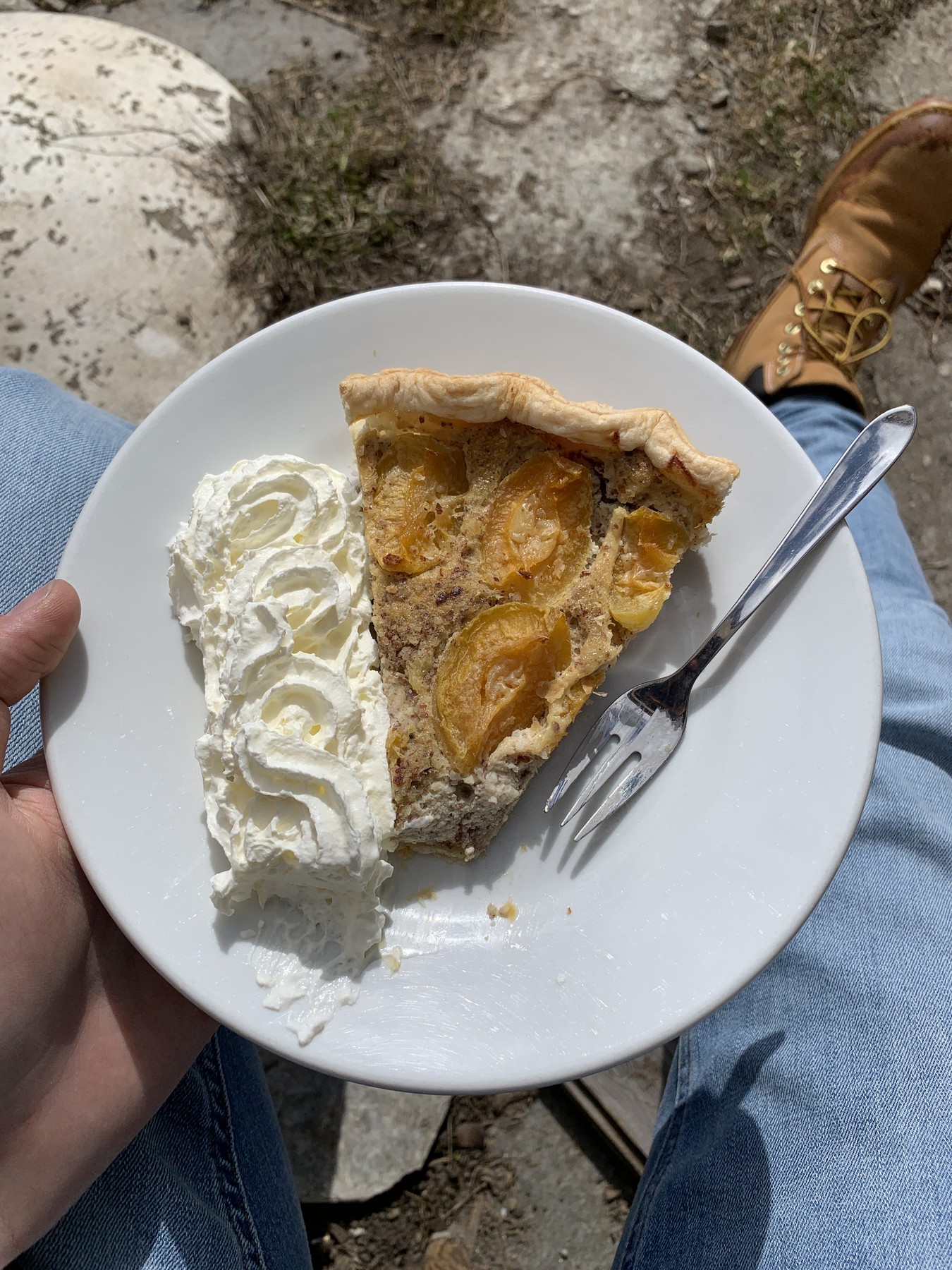 IMG_2852.jpeg