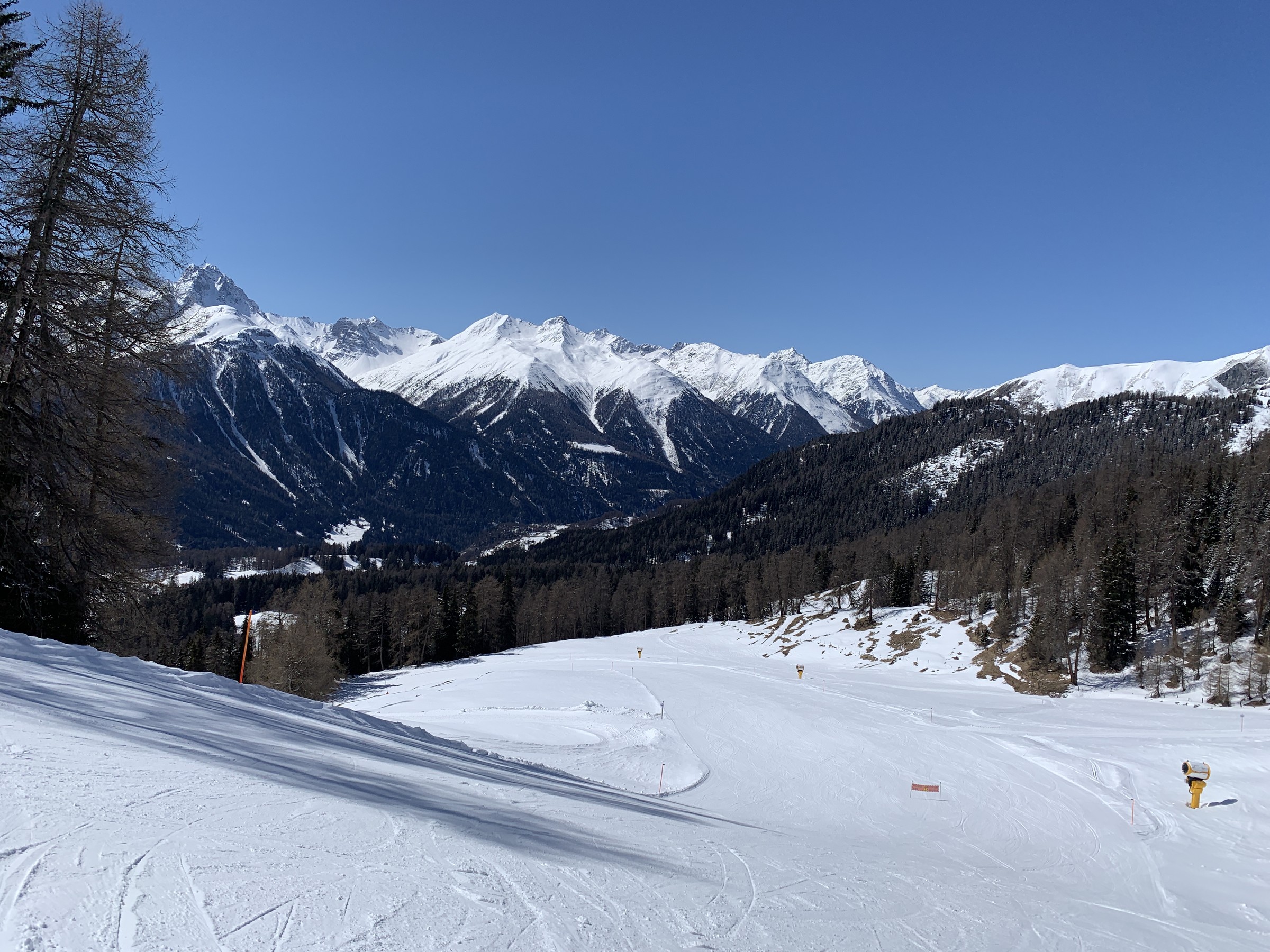IMG_2896.jpeg