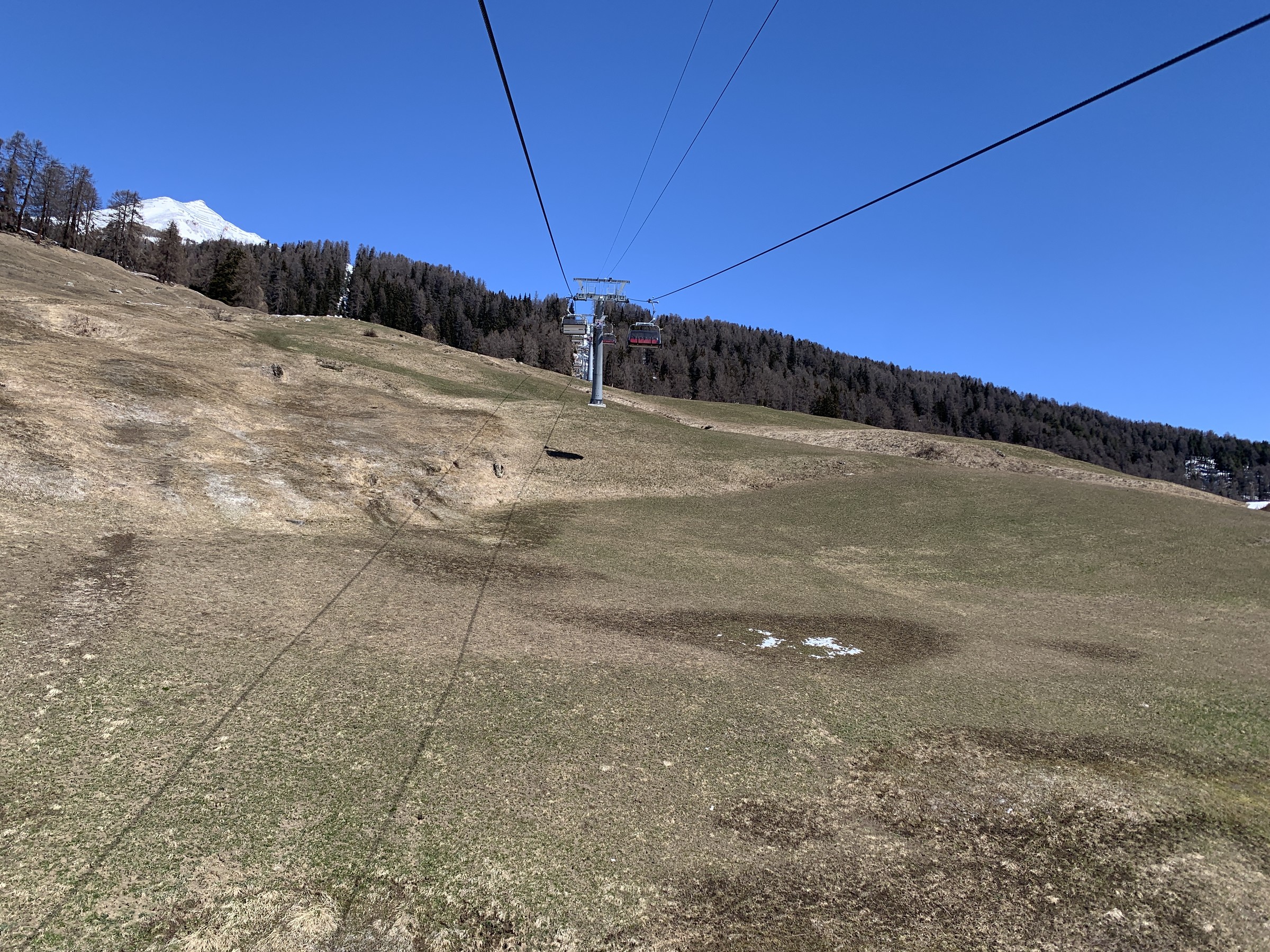IMG_2899.jpeg