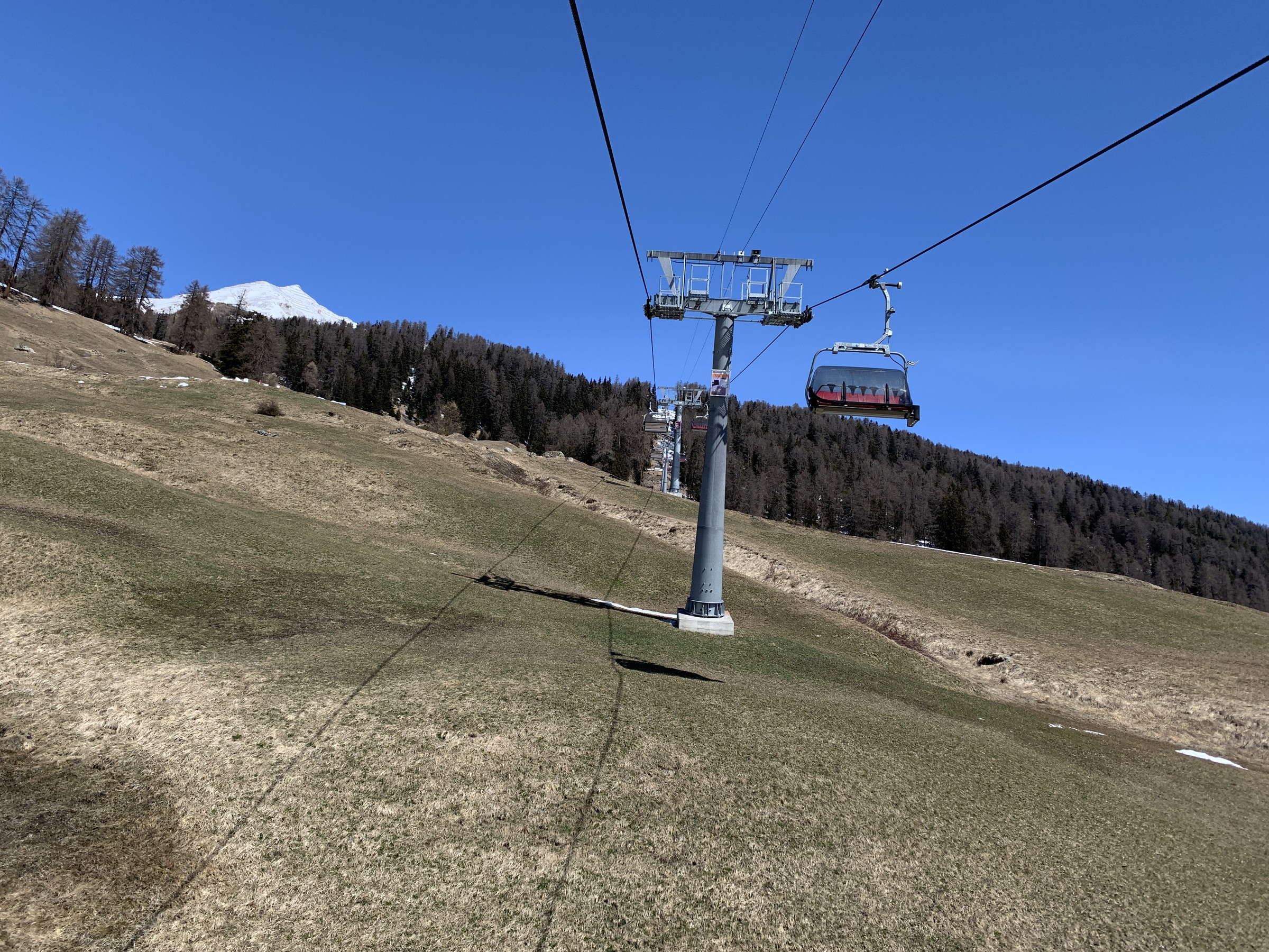 IMG_2903.jpeg