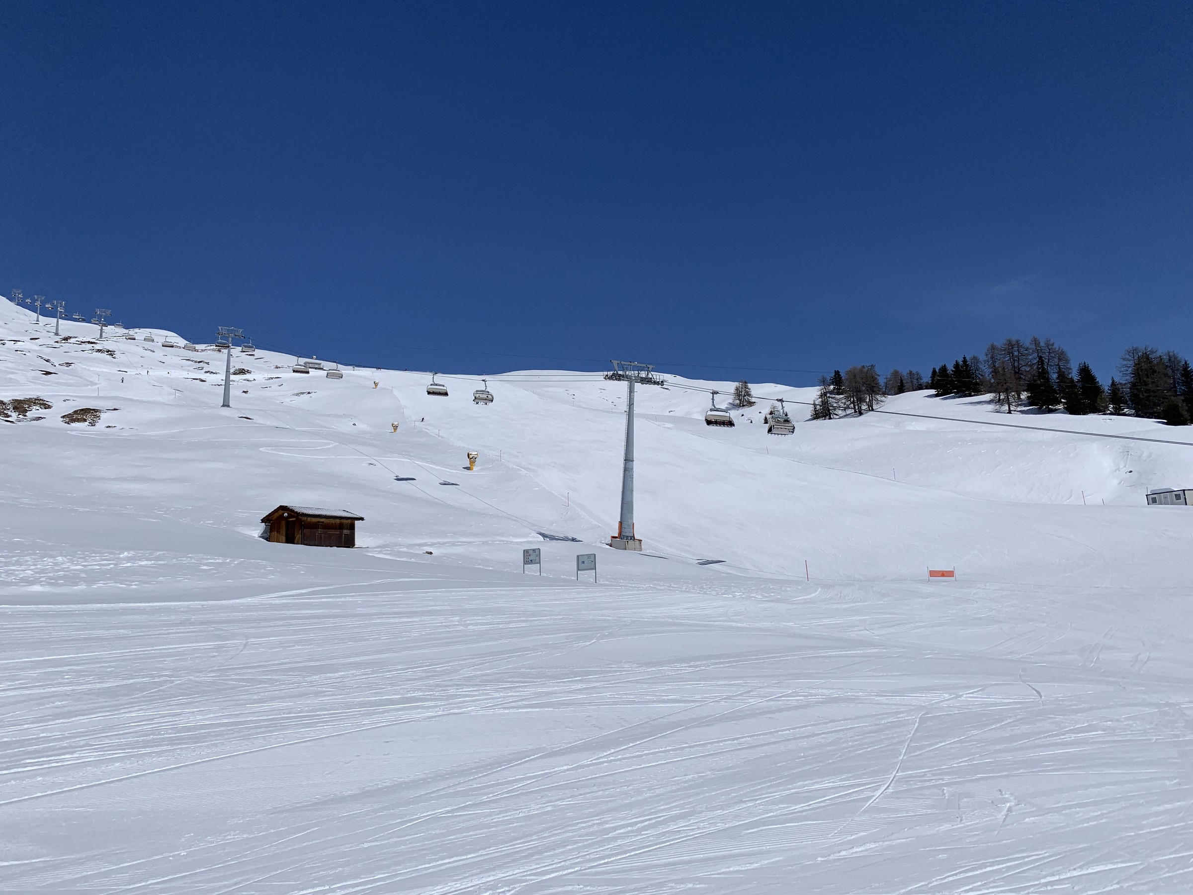 IMG_2911.jpeg