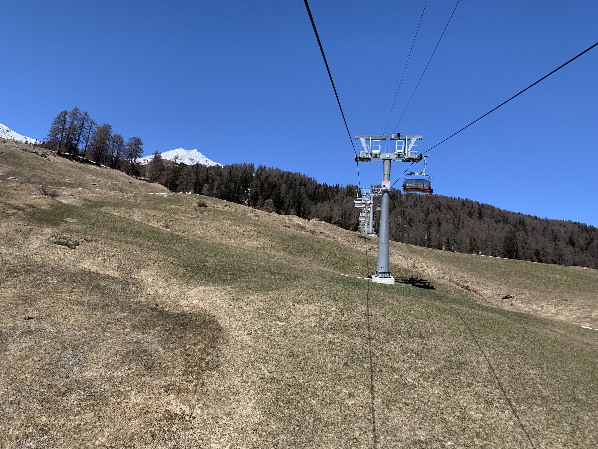 IMG_2922.jpeg