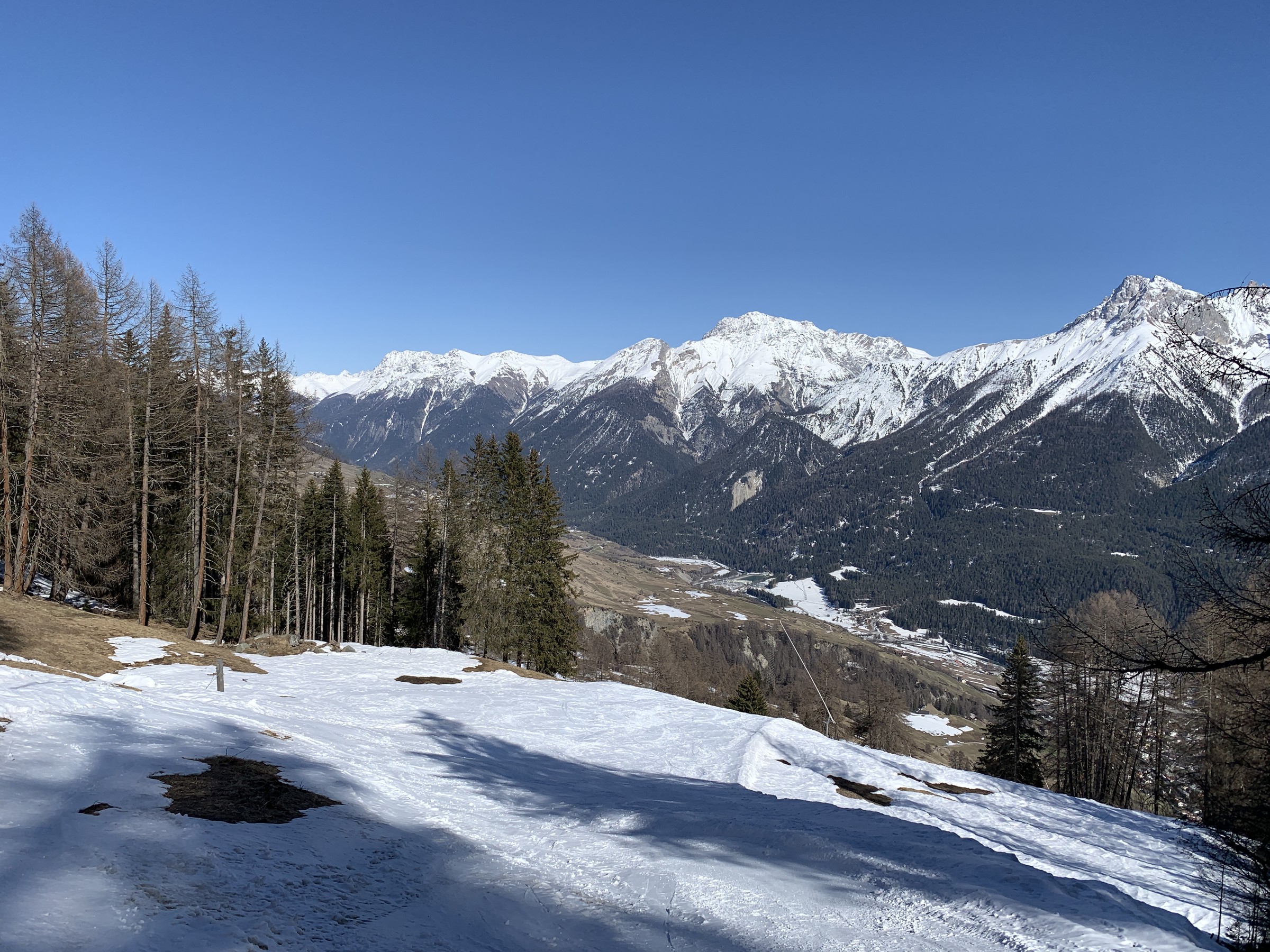 IMG_2940.jpeg