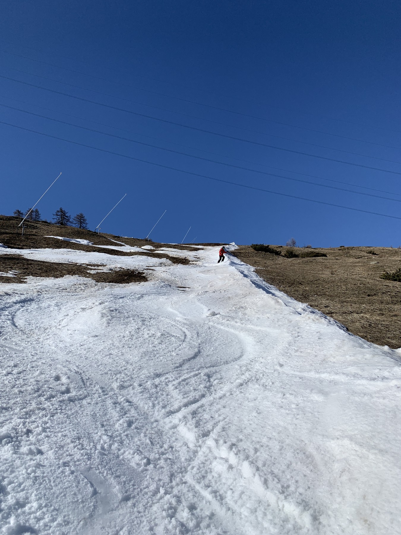 IMG_2944.jpeg