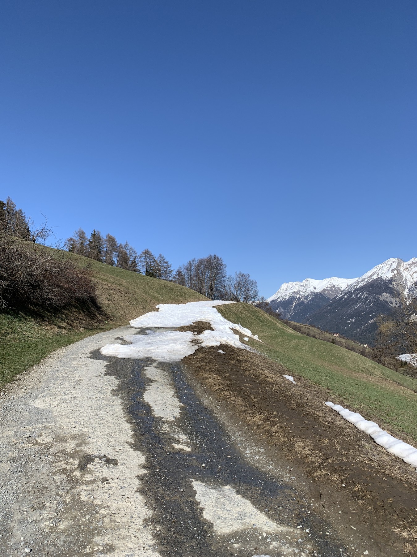 IMG_2953.jpeg