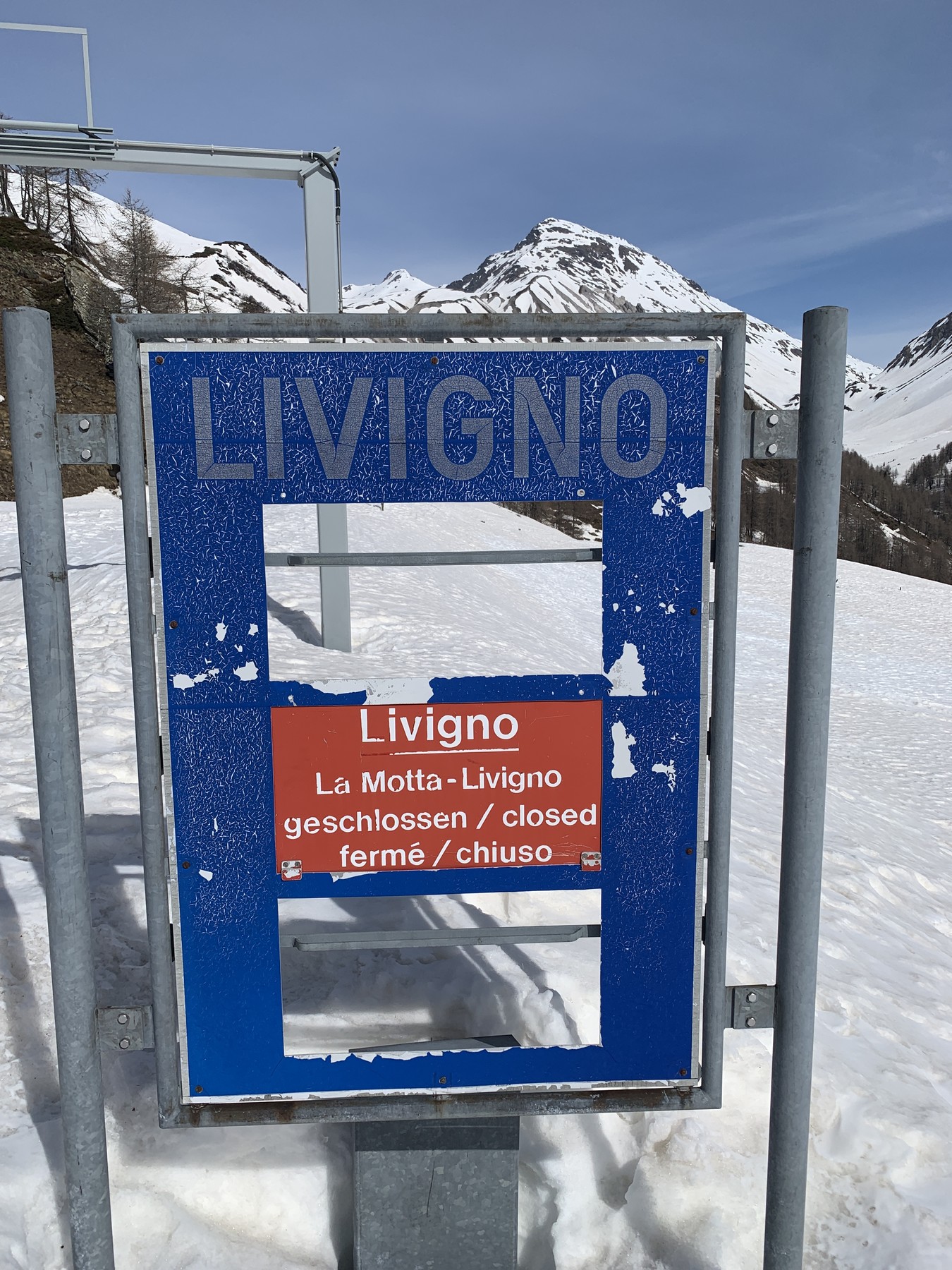 IMG_3002.jpeg