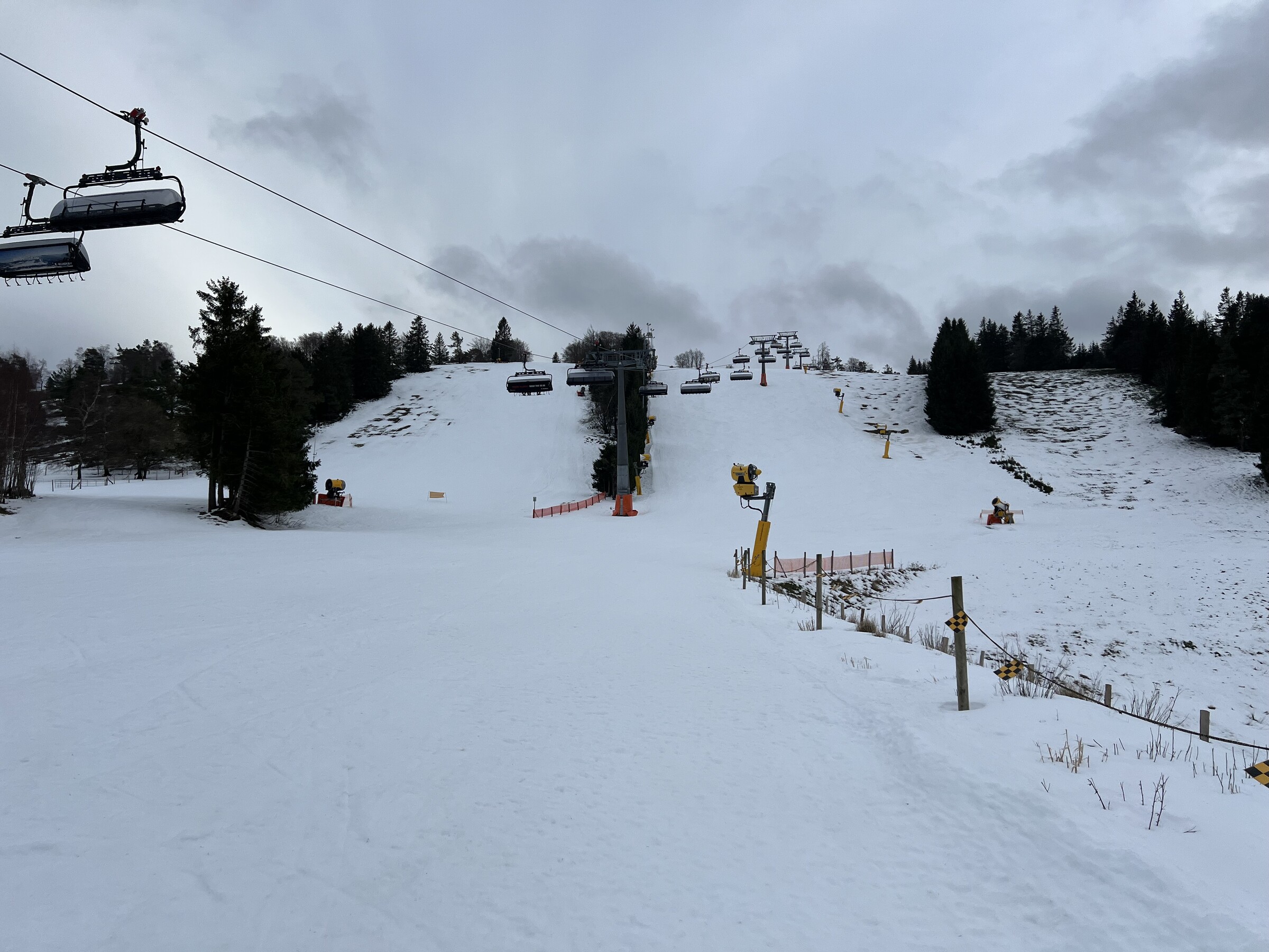 IMG_3172.jpeg