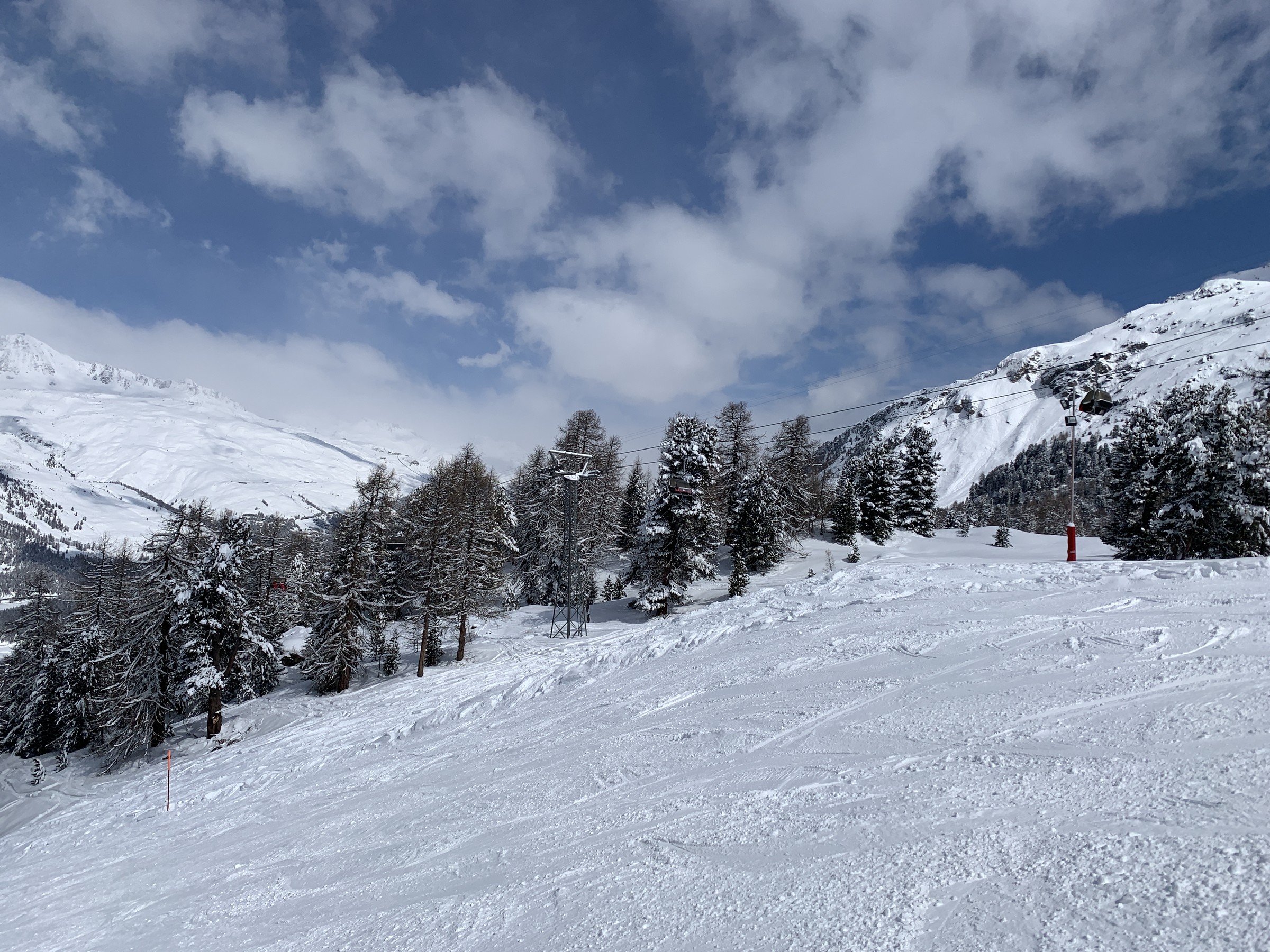 IMG_3173.jpeg