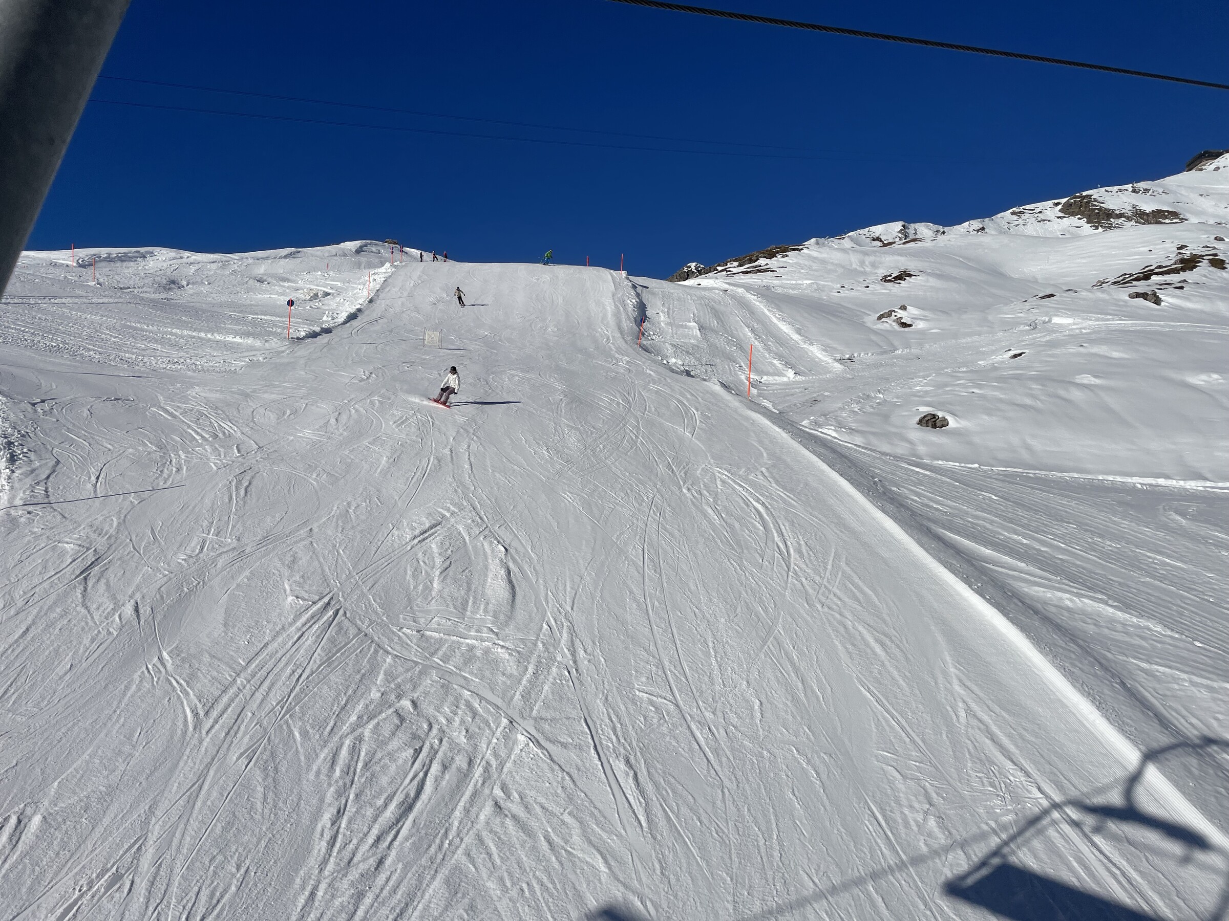 IMG_3186.jpeg