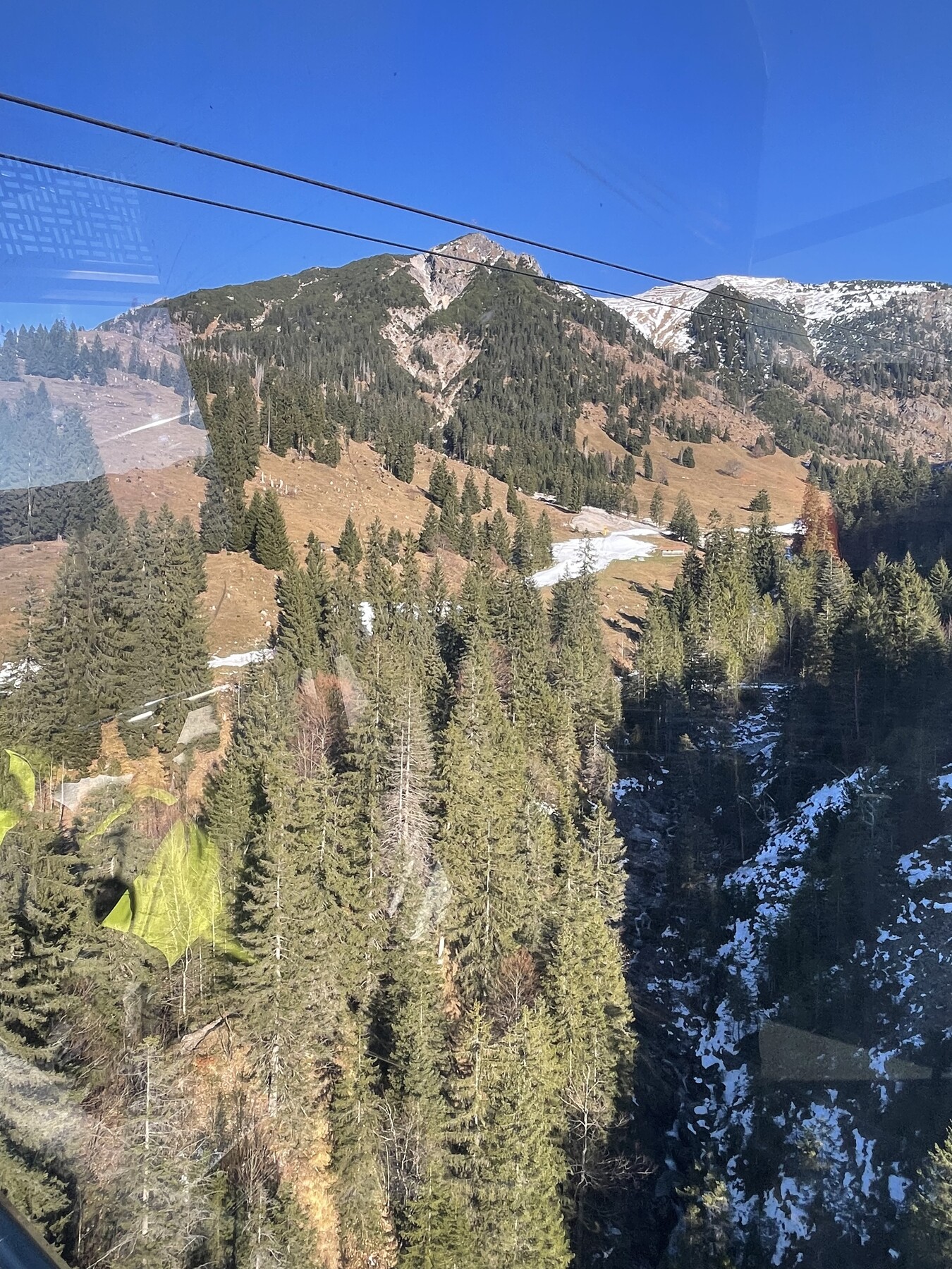 IMG_3256.jpeg