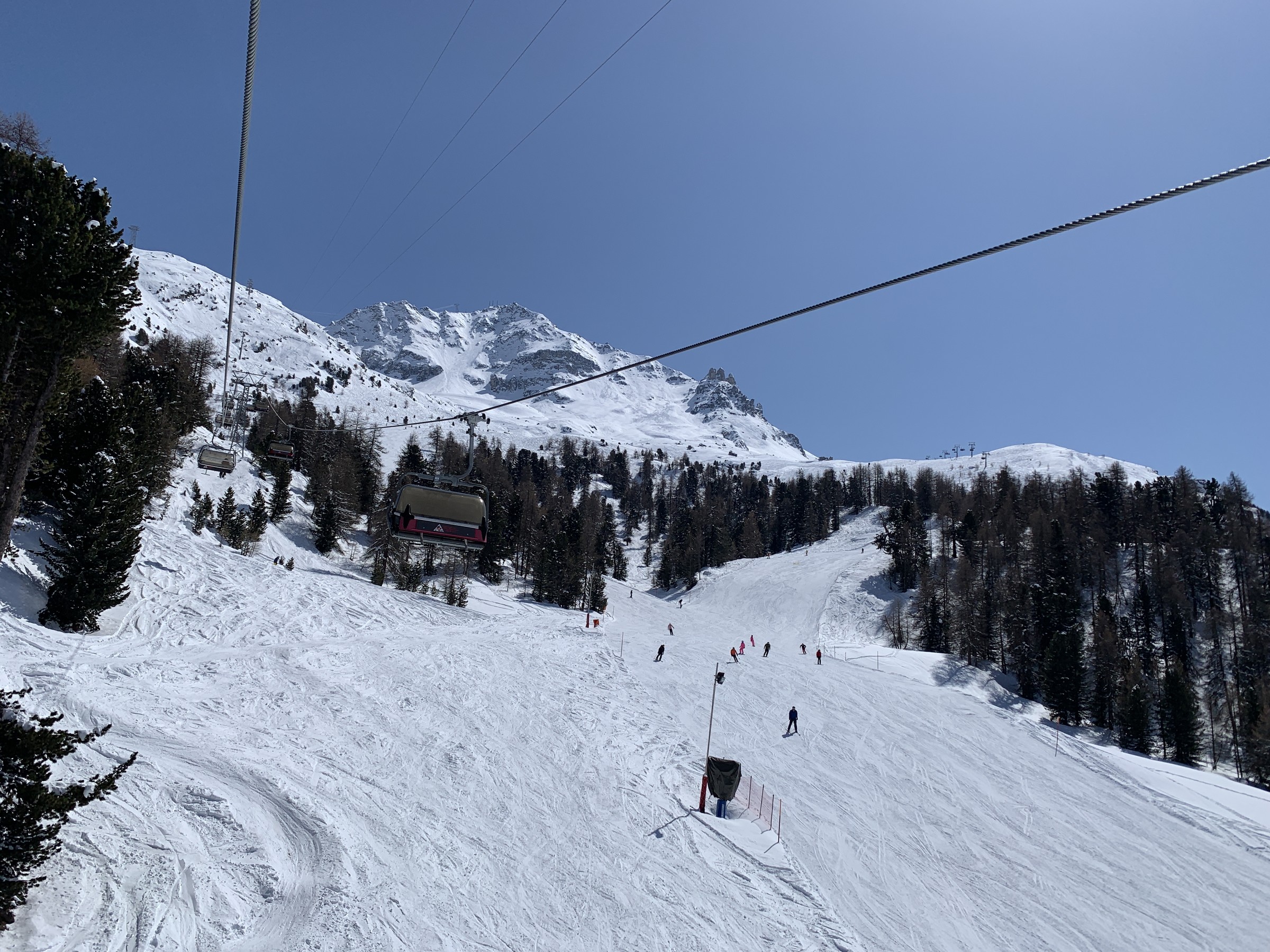 IMG_3269.jpeg