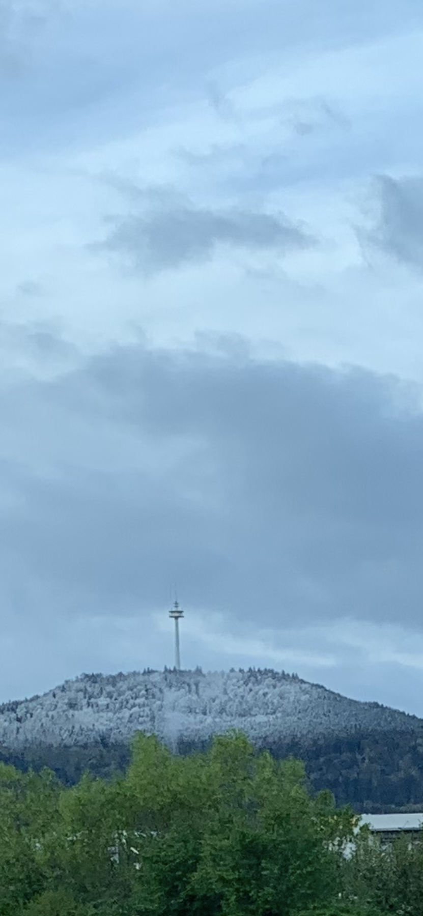 IMG_3289.png