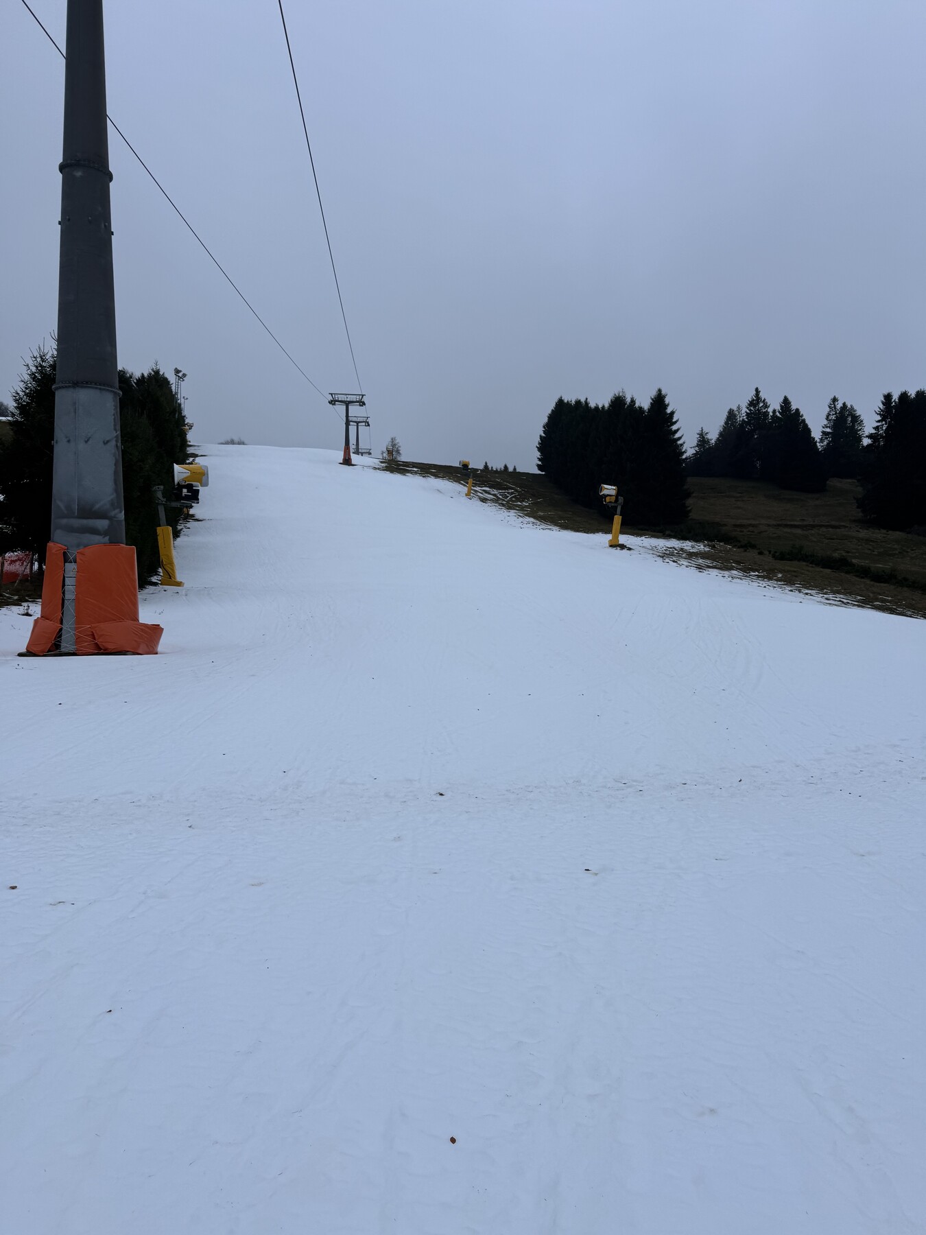IMG_3291.jpeg