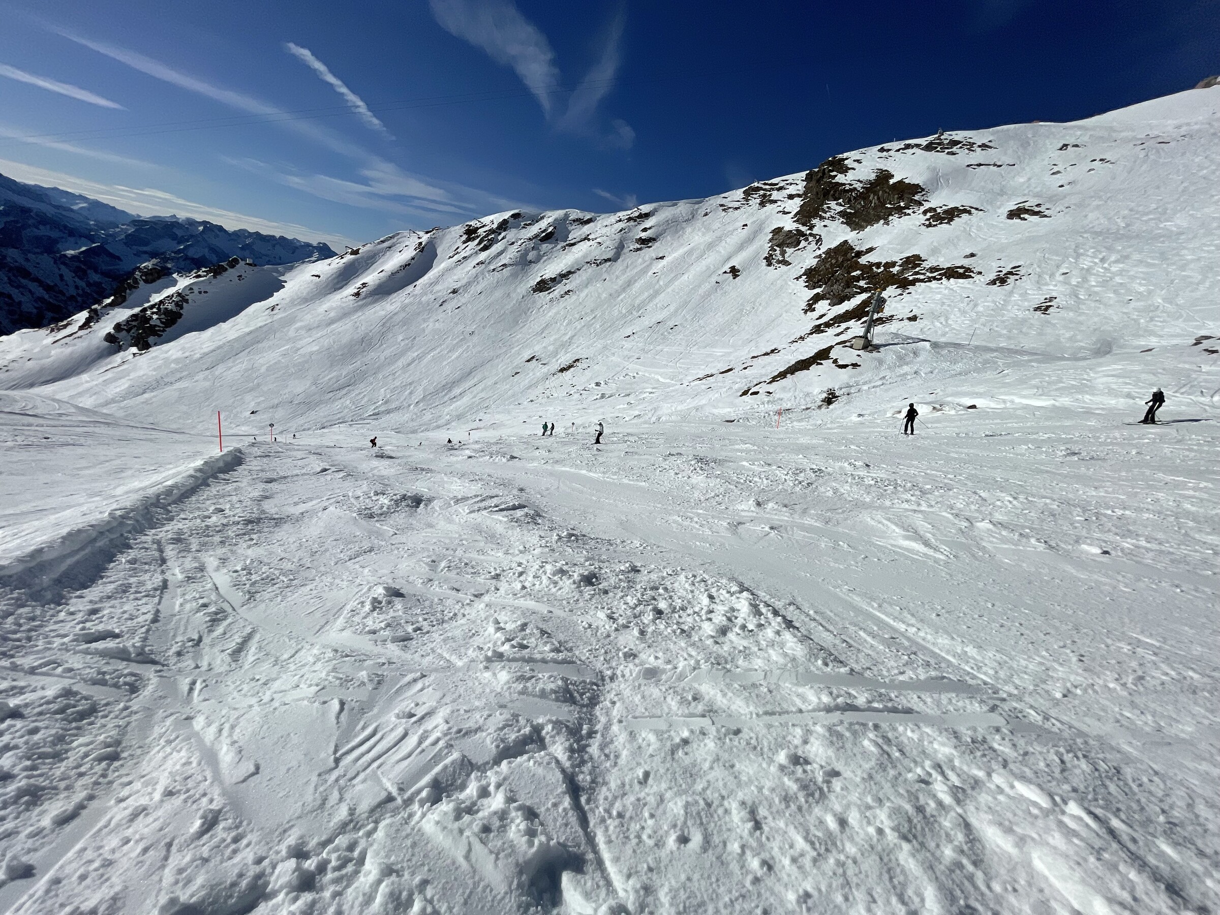 IMG_3292.jpeg