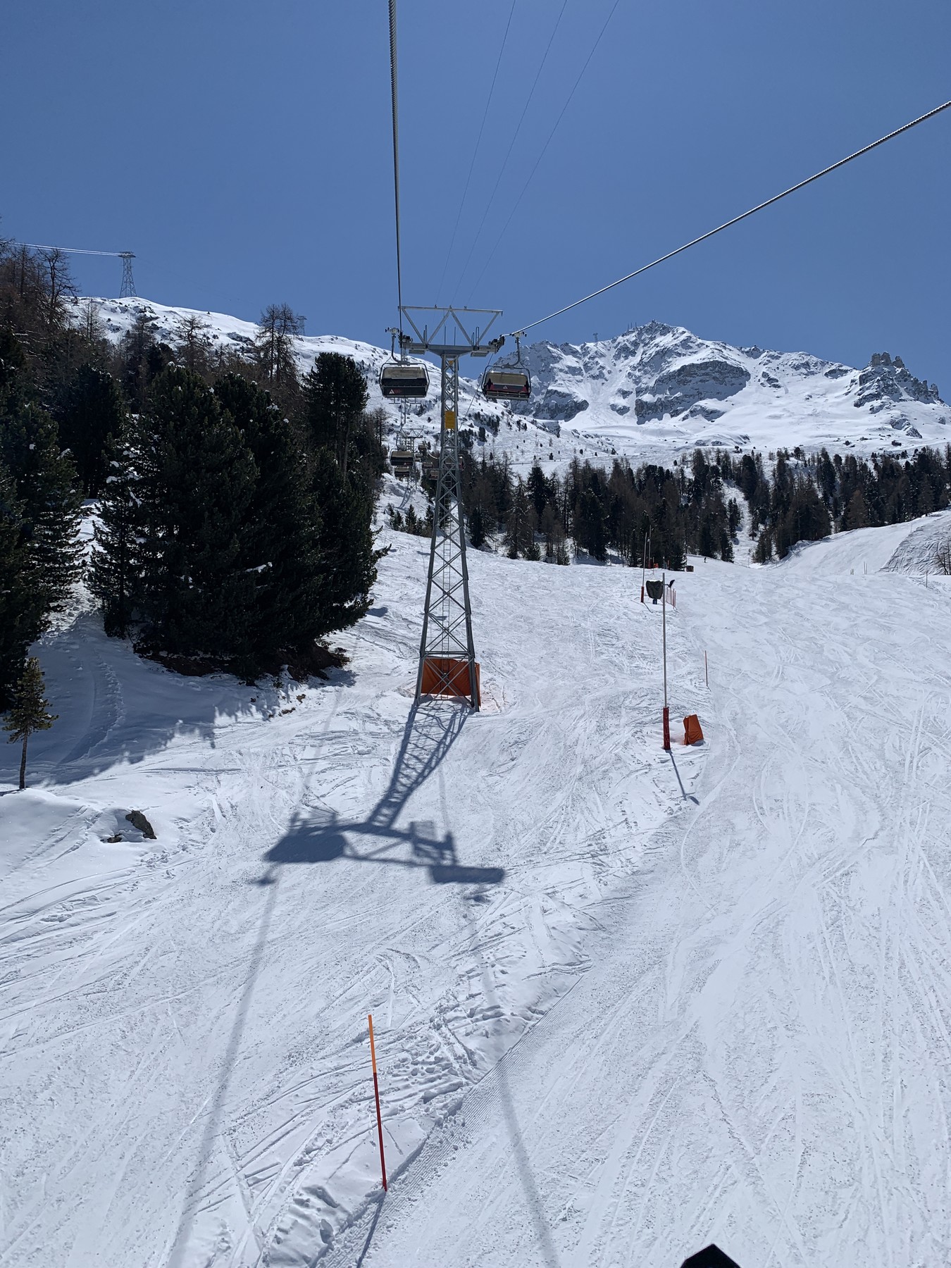 IMG_3330.jpeg