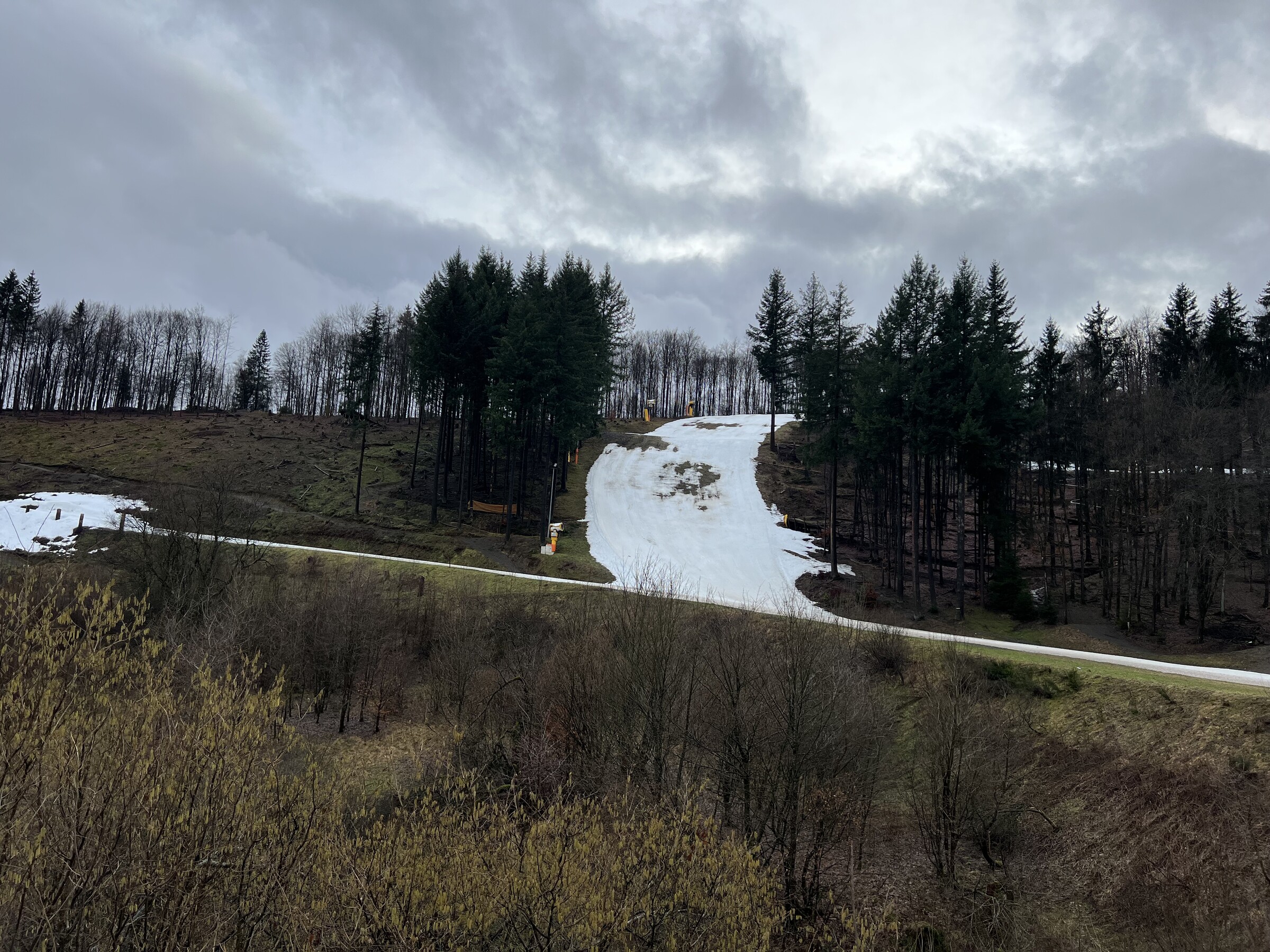 IMG_3476.jpeg