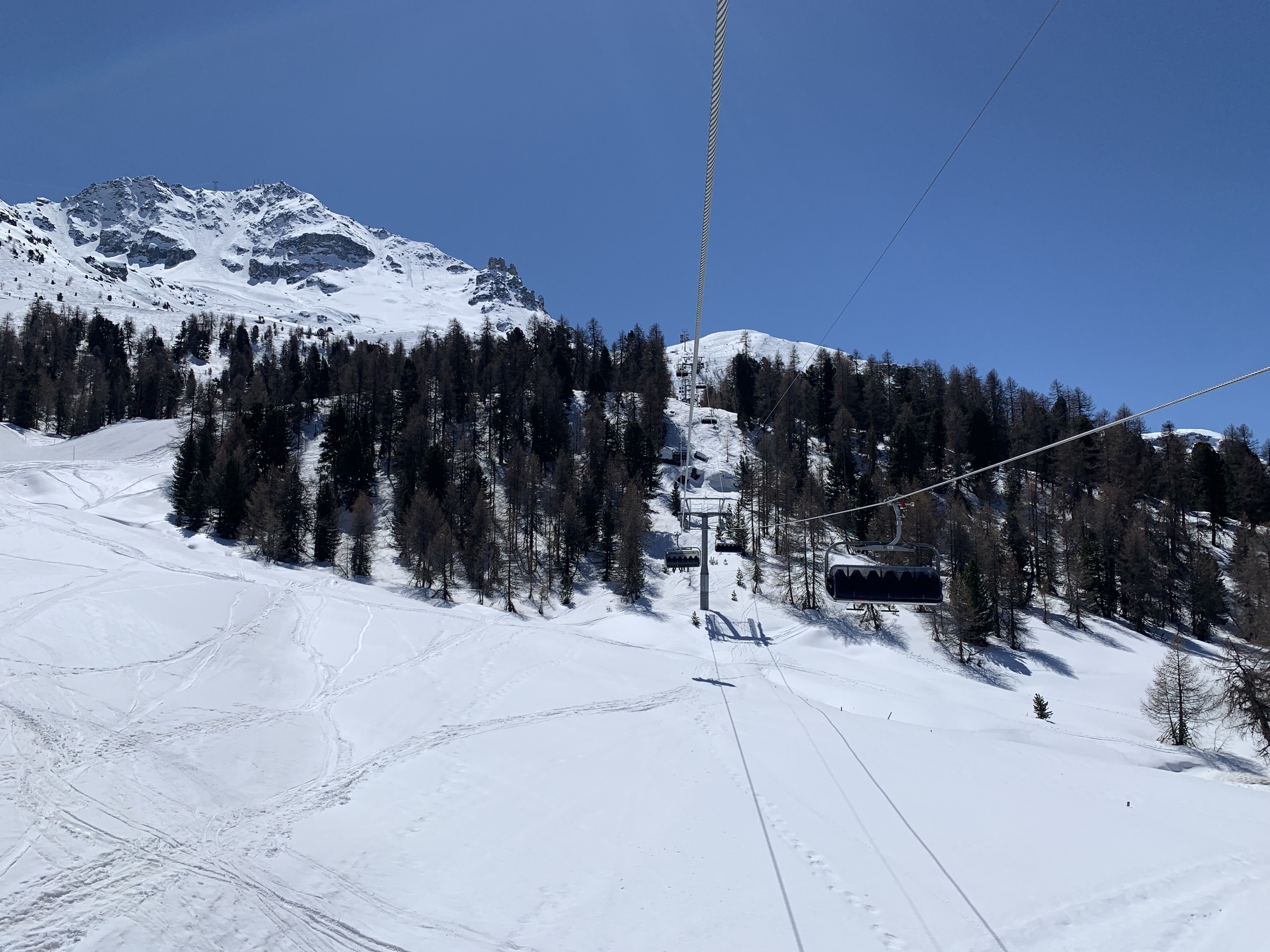 IMG_3526.jpeg