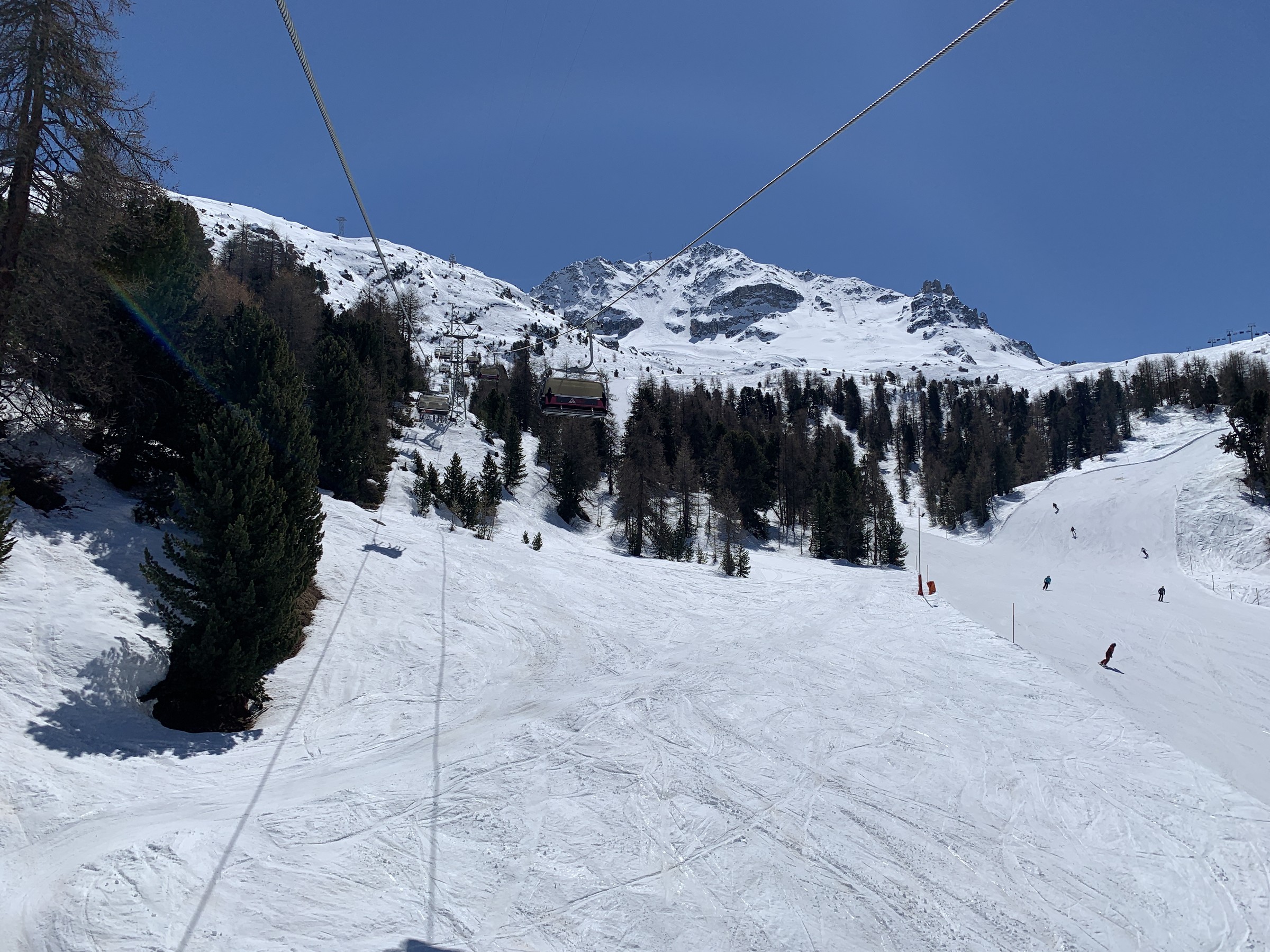 IMG_3531.jpeg