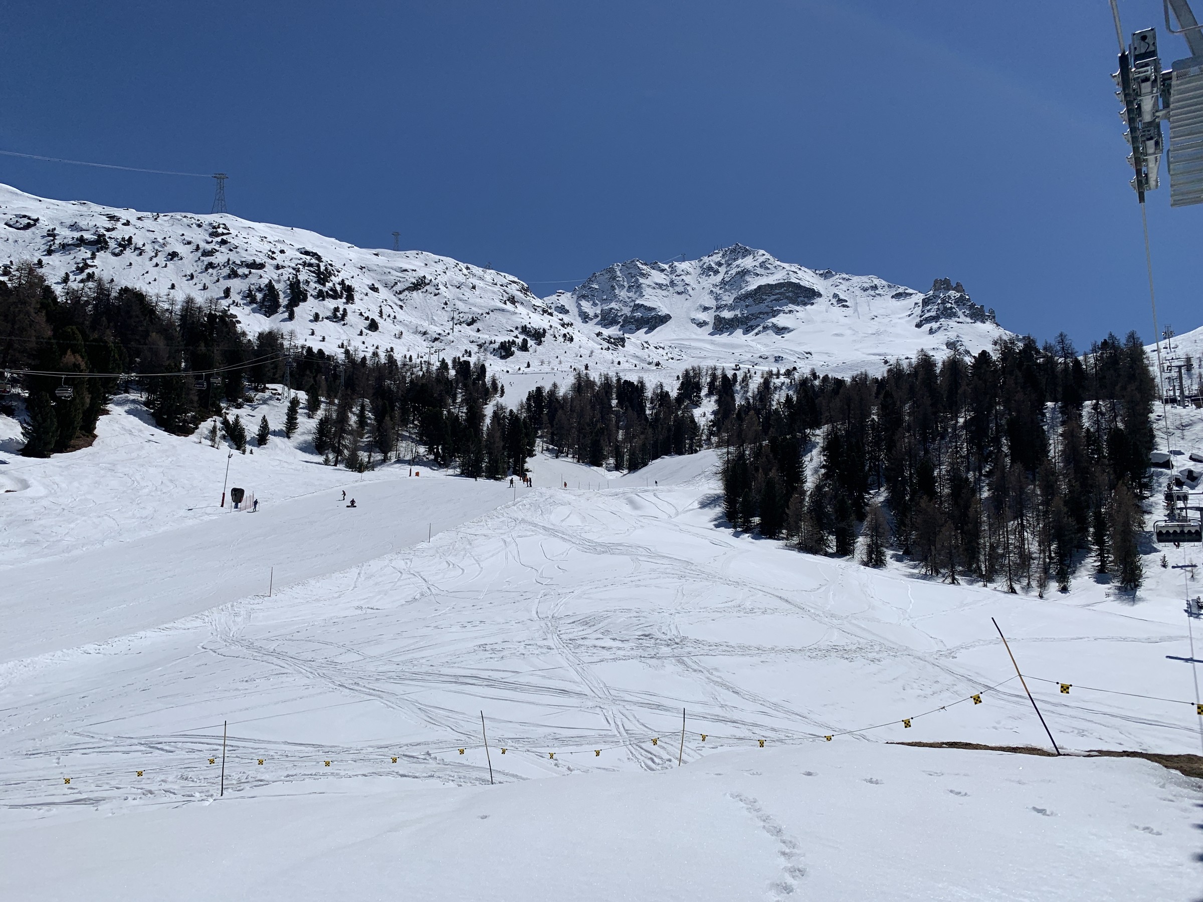 IMG_3534.jpeg