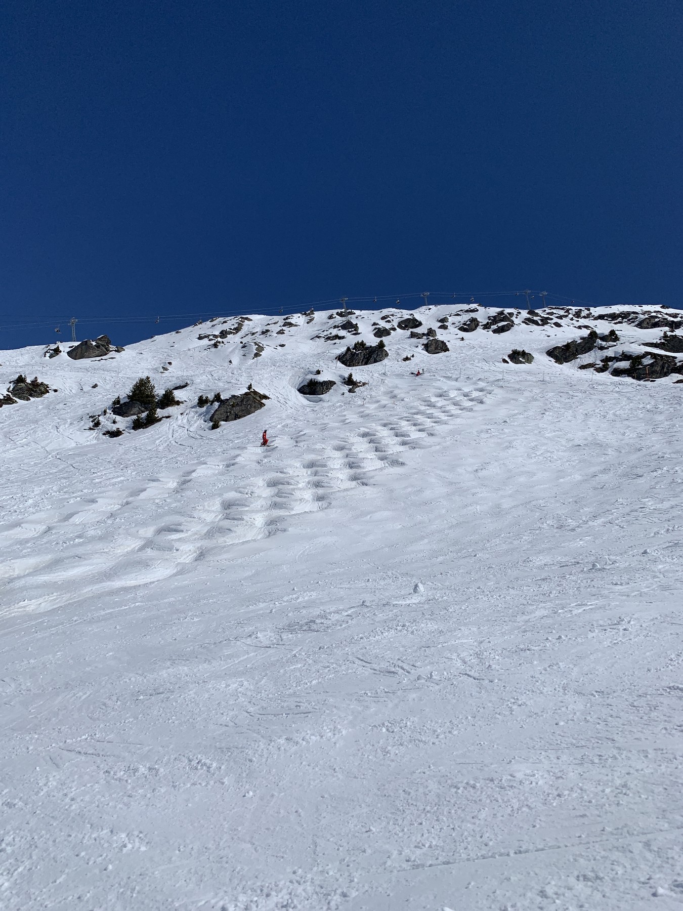 IMG_3545.jpeg