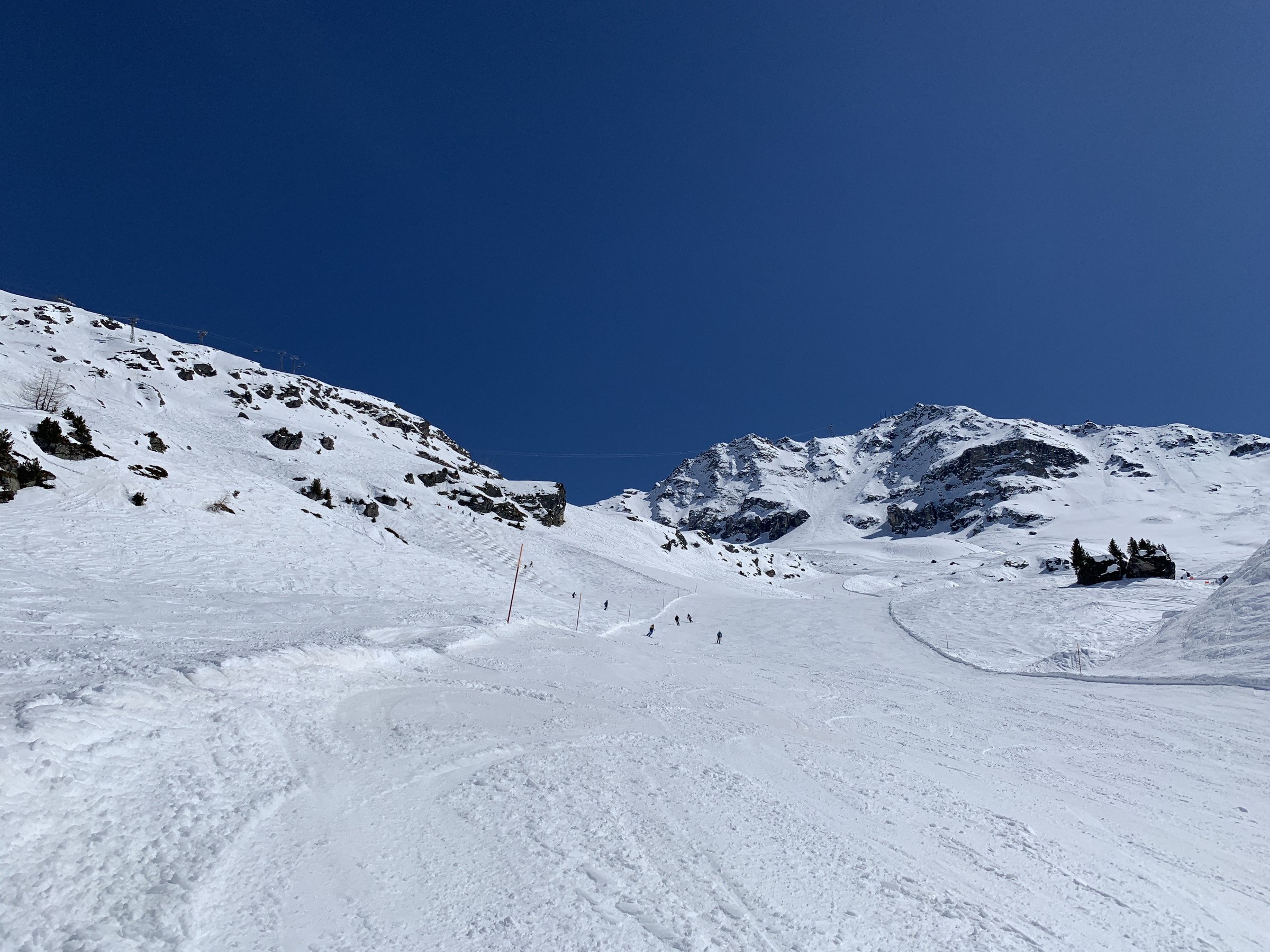 IMG_3548.jpeg