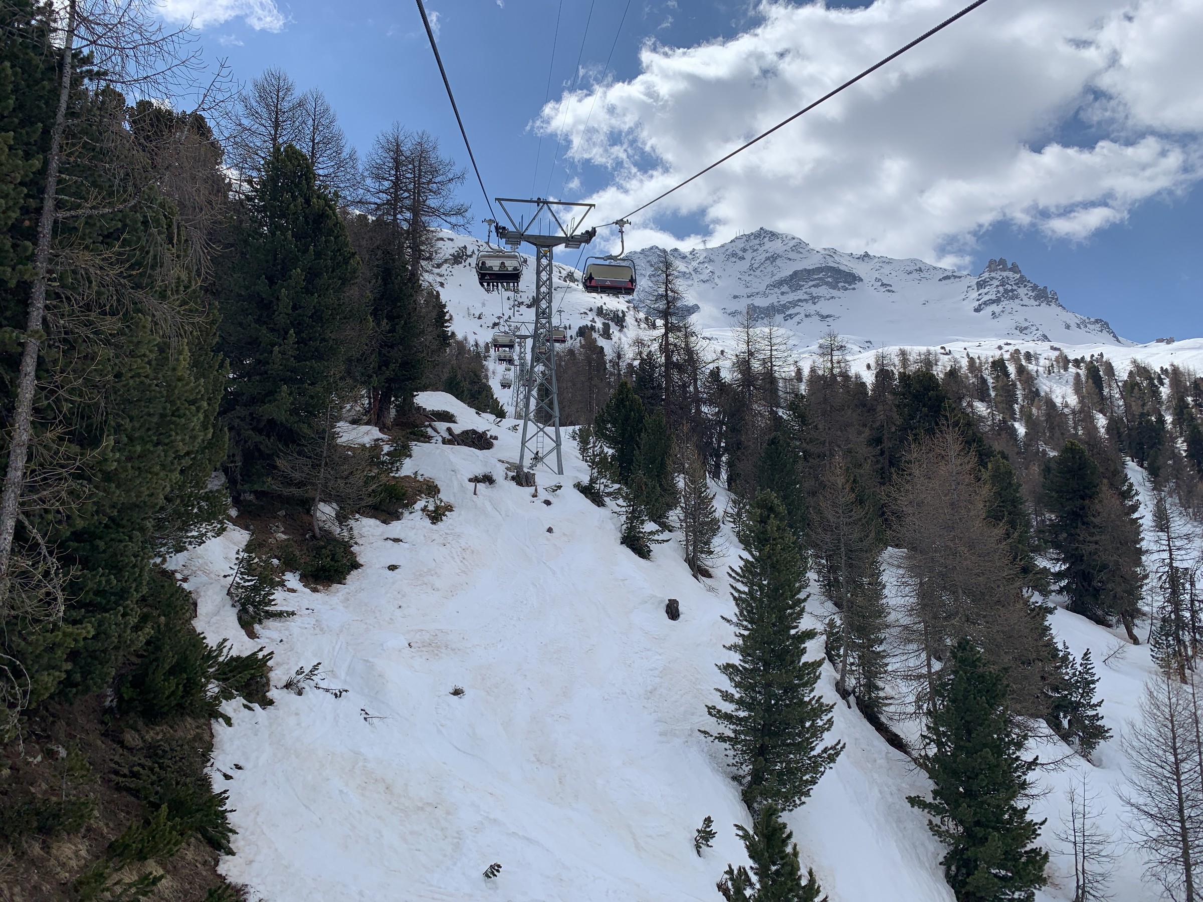 IMG_3624.jpeg