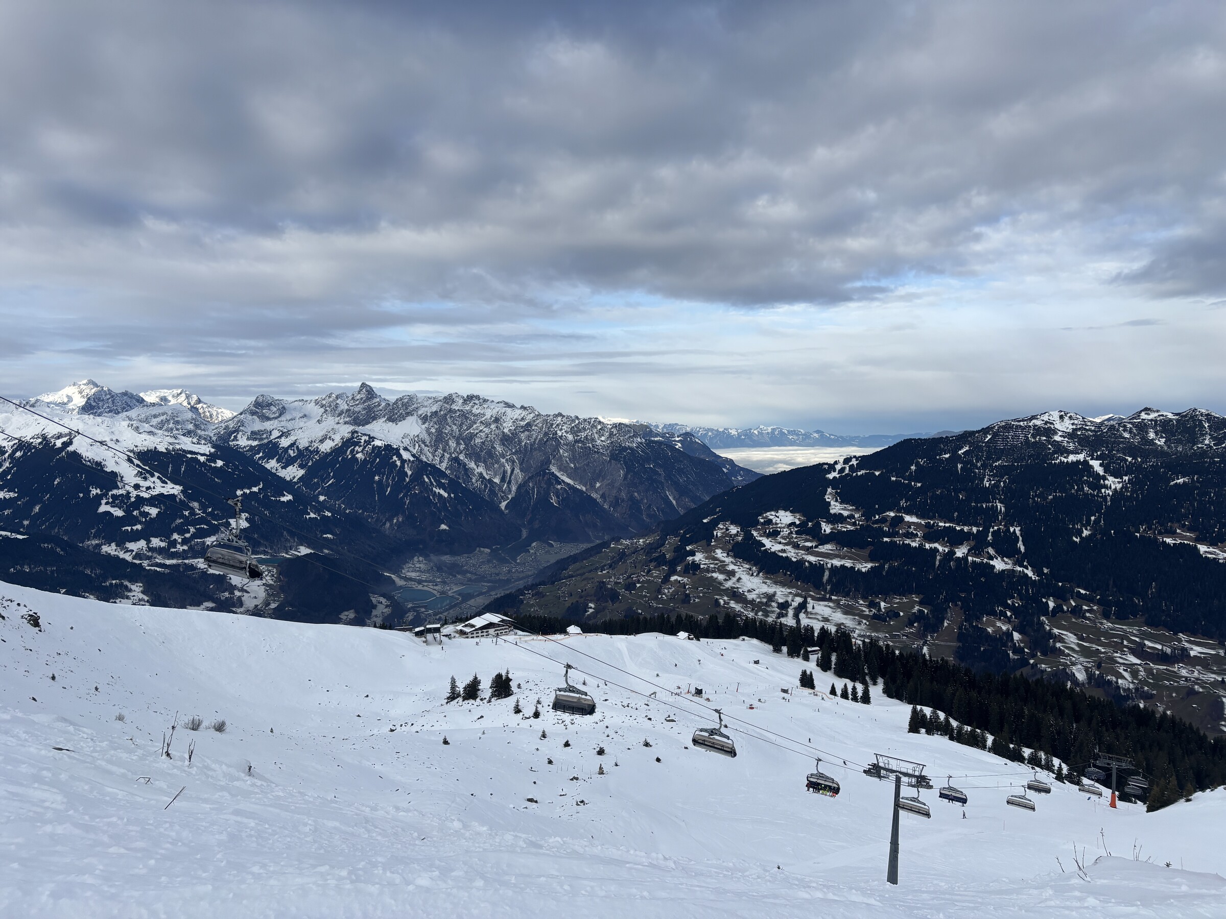 IMG_4010.jpeg