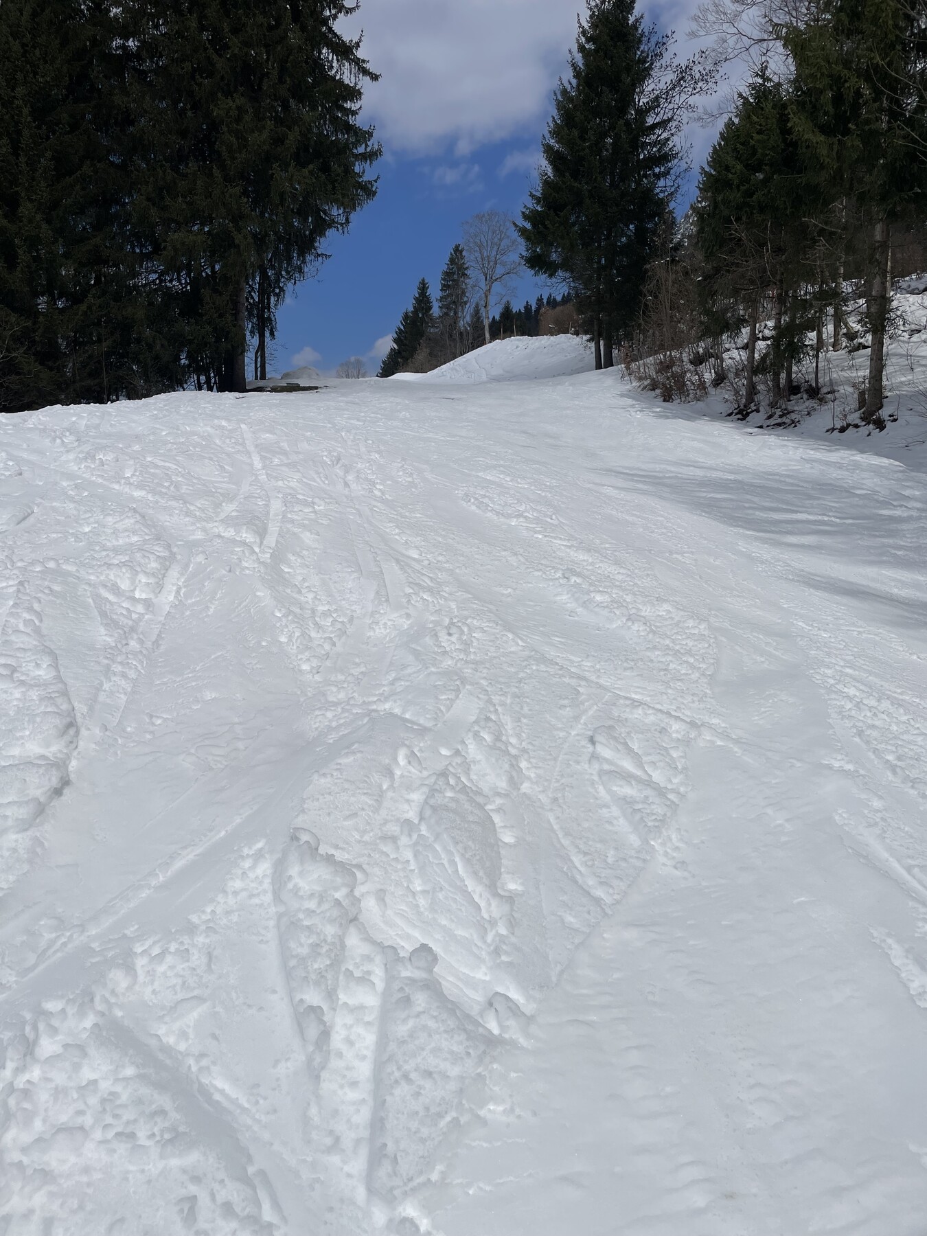 IMG_4026.jpeg