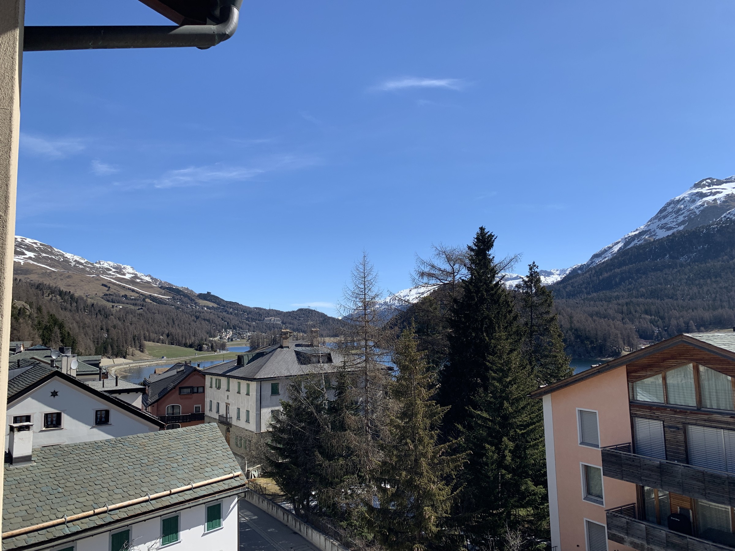 IMG_4260.jpeg