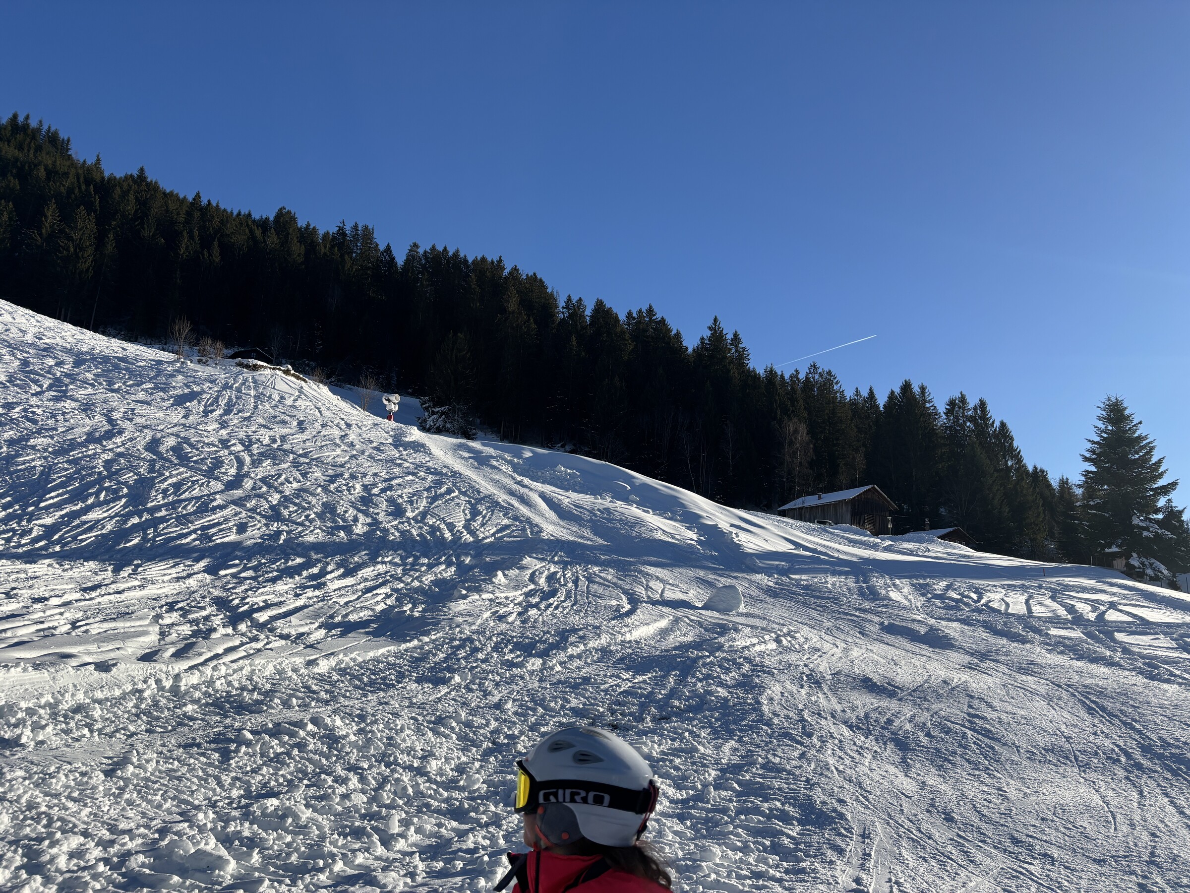IMG_4621.jpeg