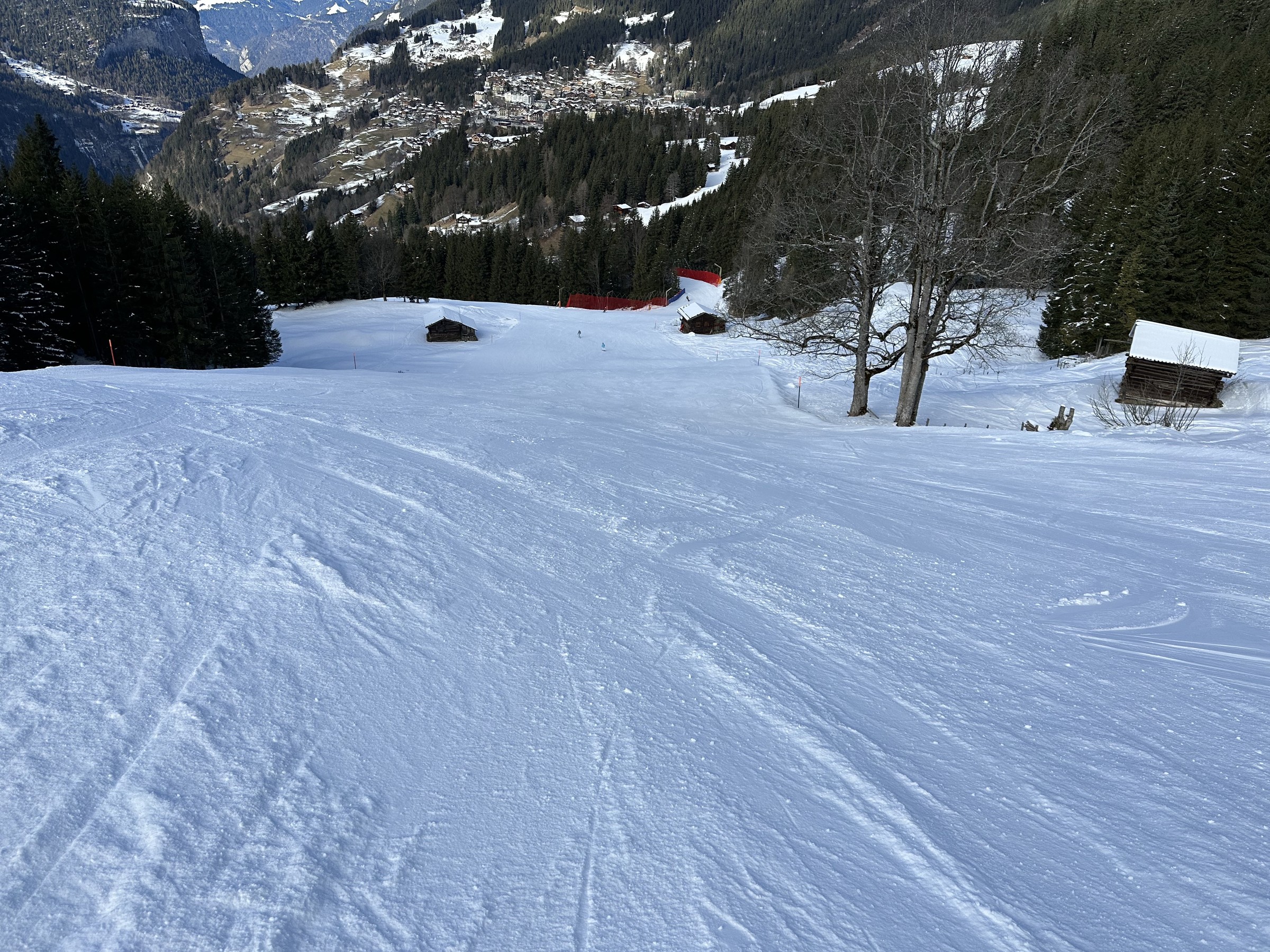 IMG_4648.JPG