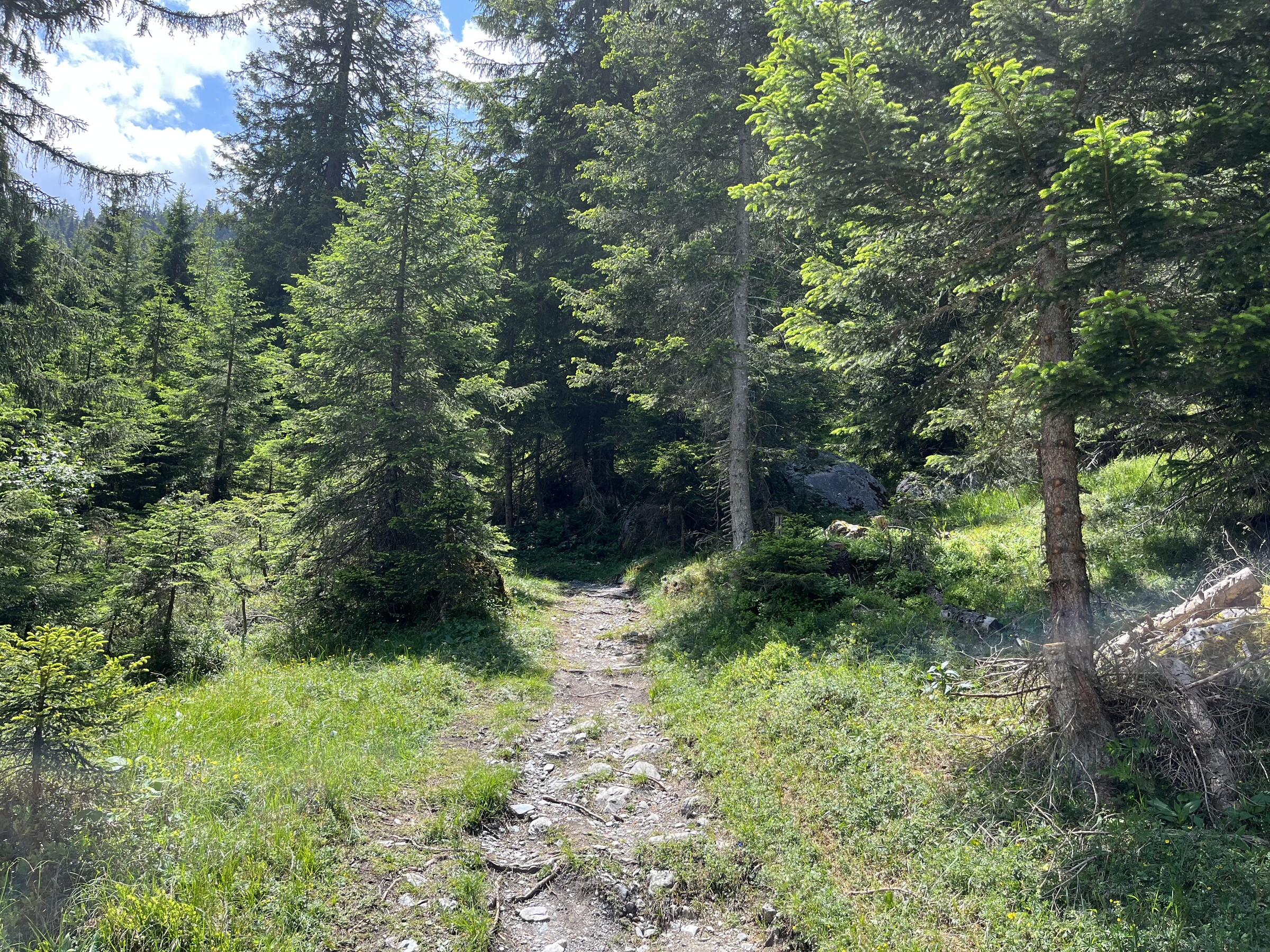 IMG_4800.jpeg