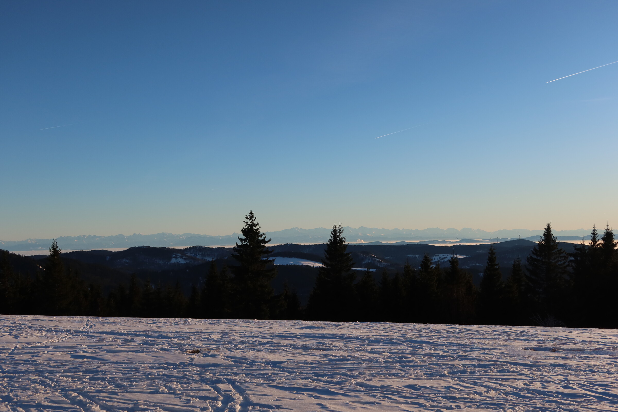 IMG_4901.JPG
