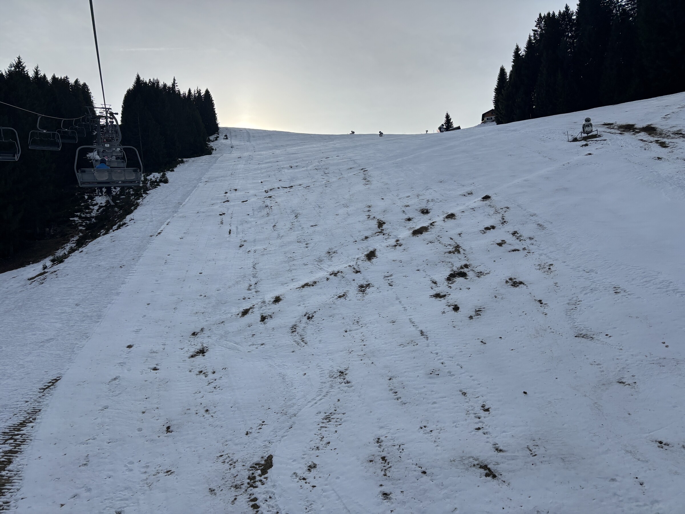 IMG_4959.jpeg