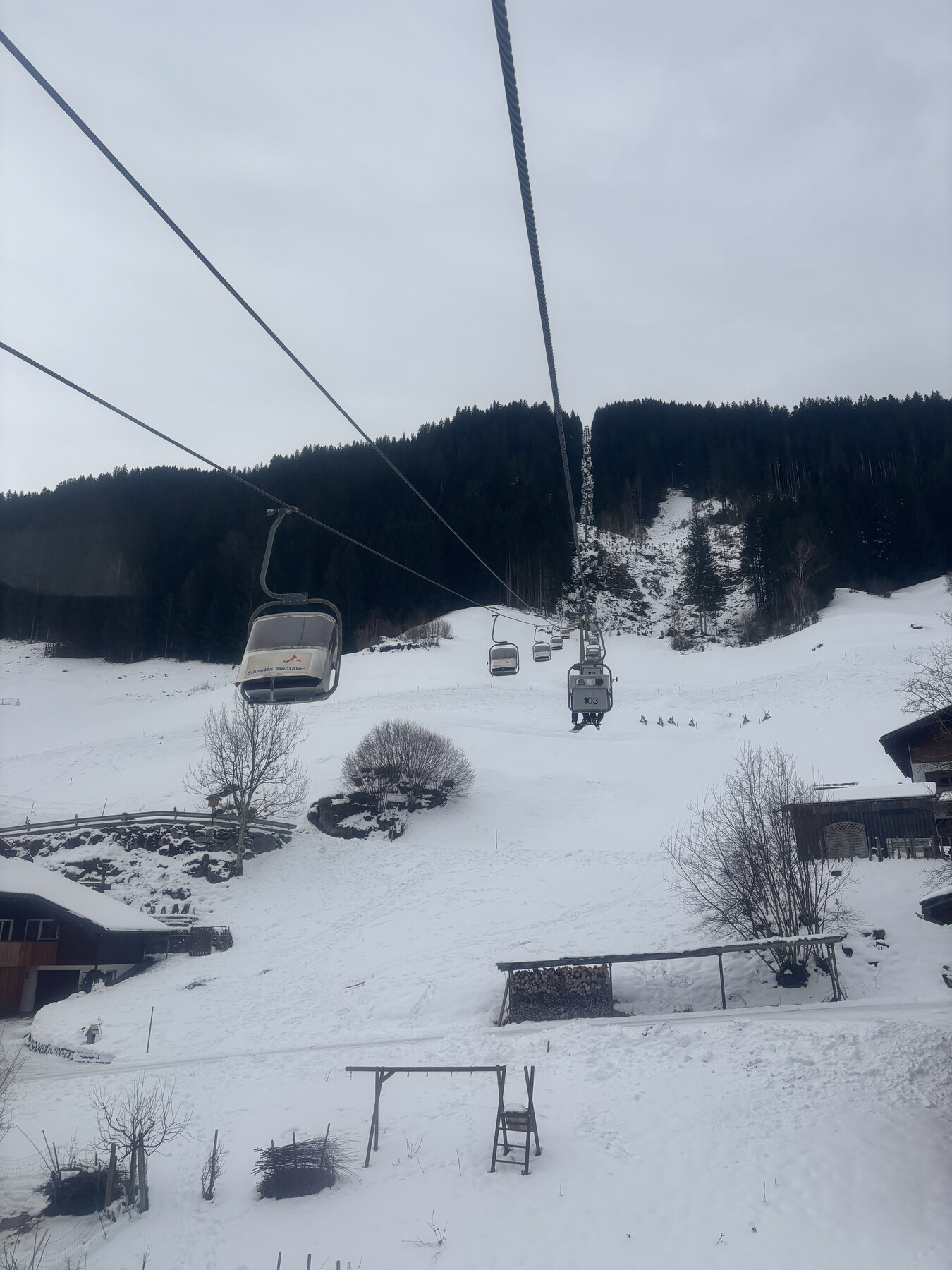 IMG_4989.jpeg