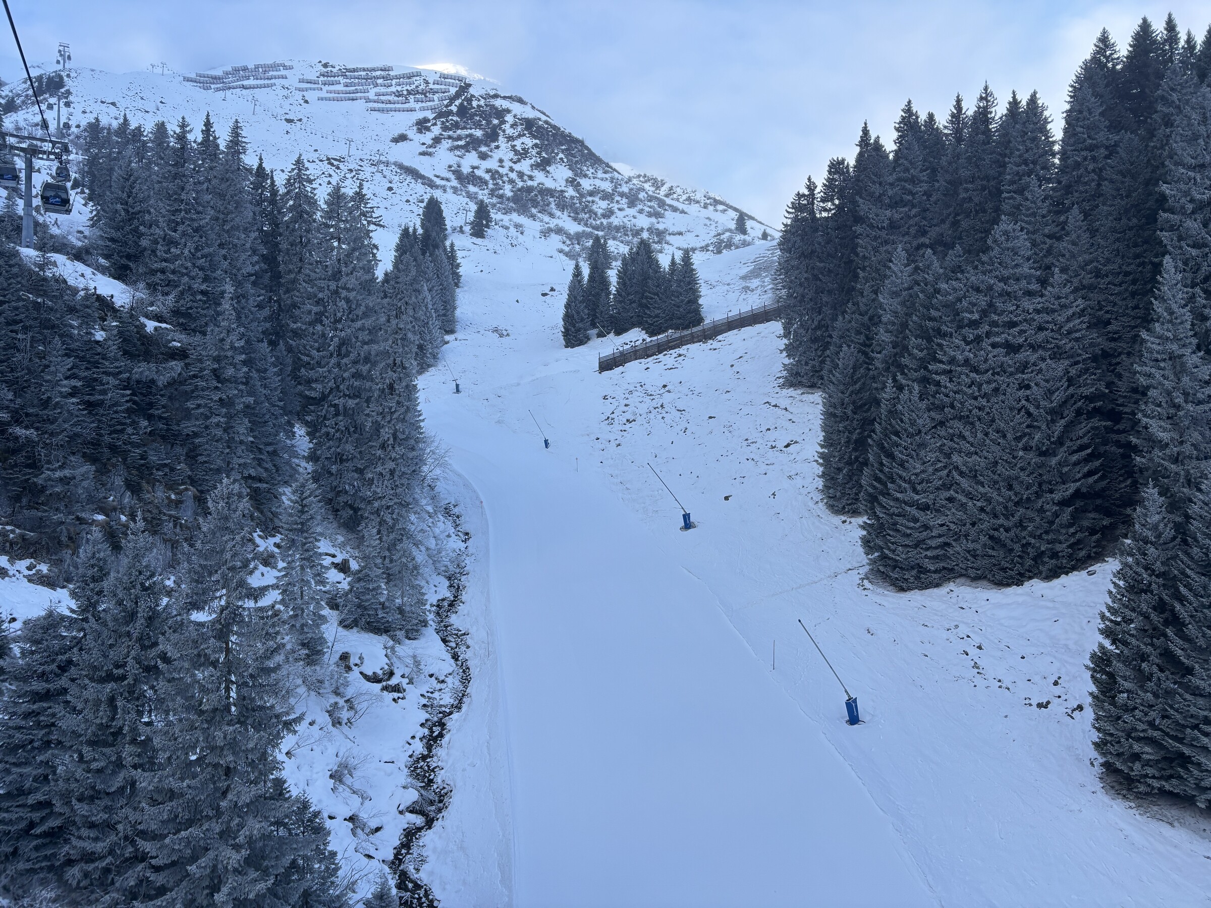 IMG_5037.jpeg