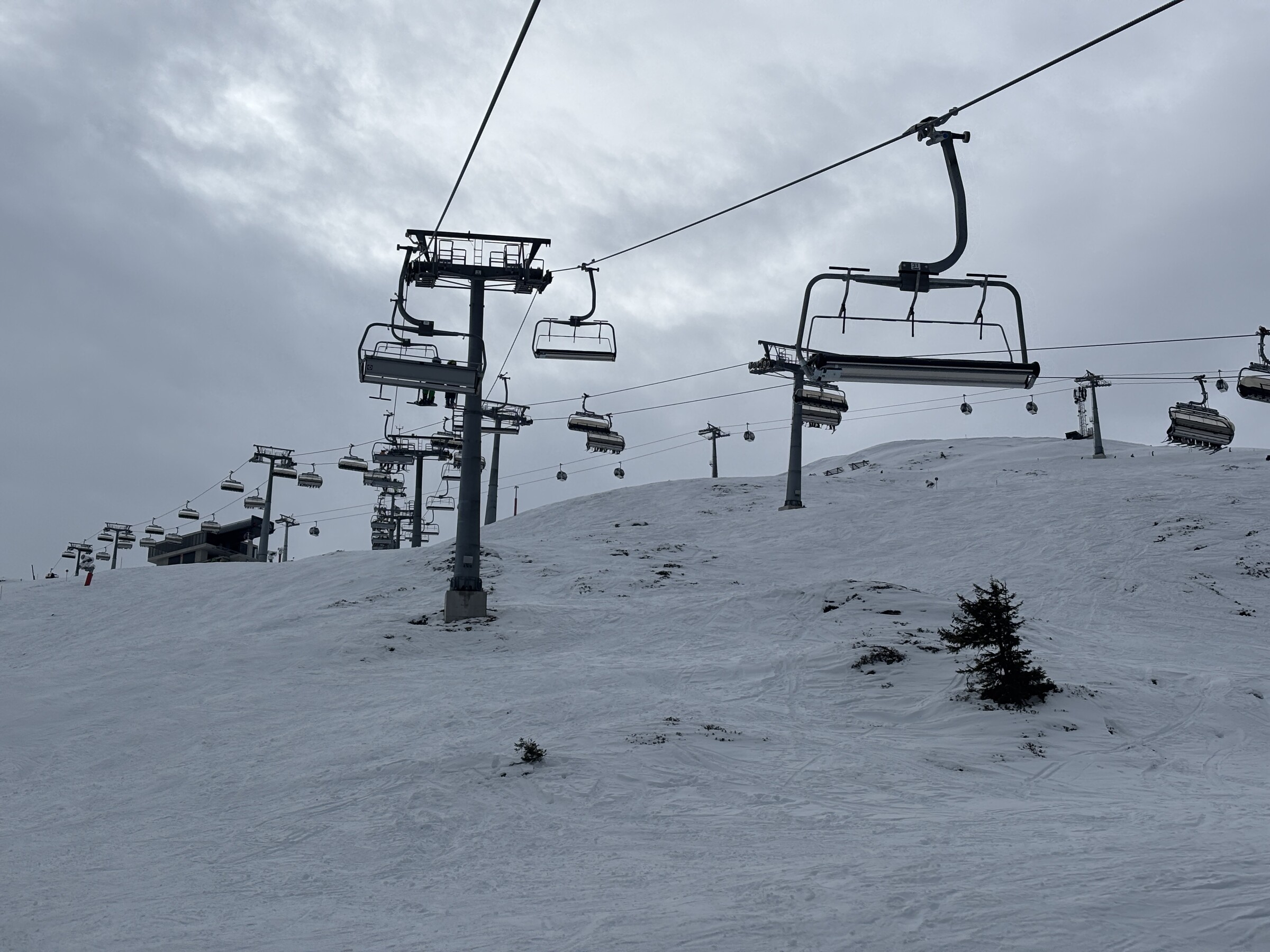IMG_5080.jpeg