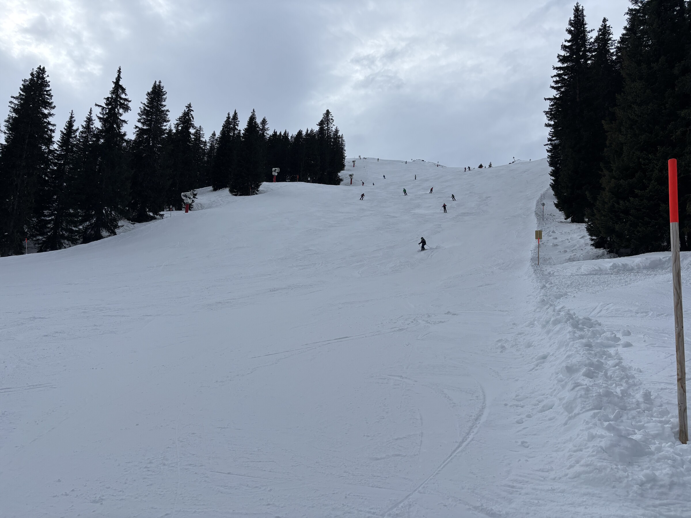 IMG_5084.jpeg