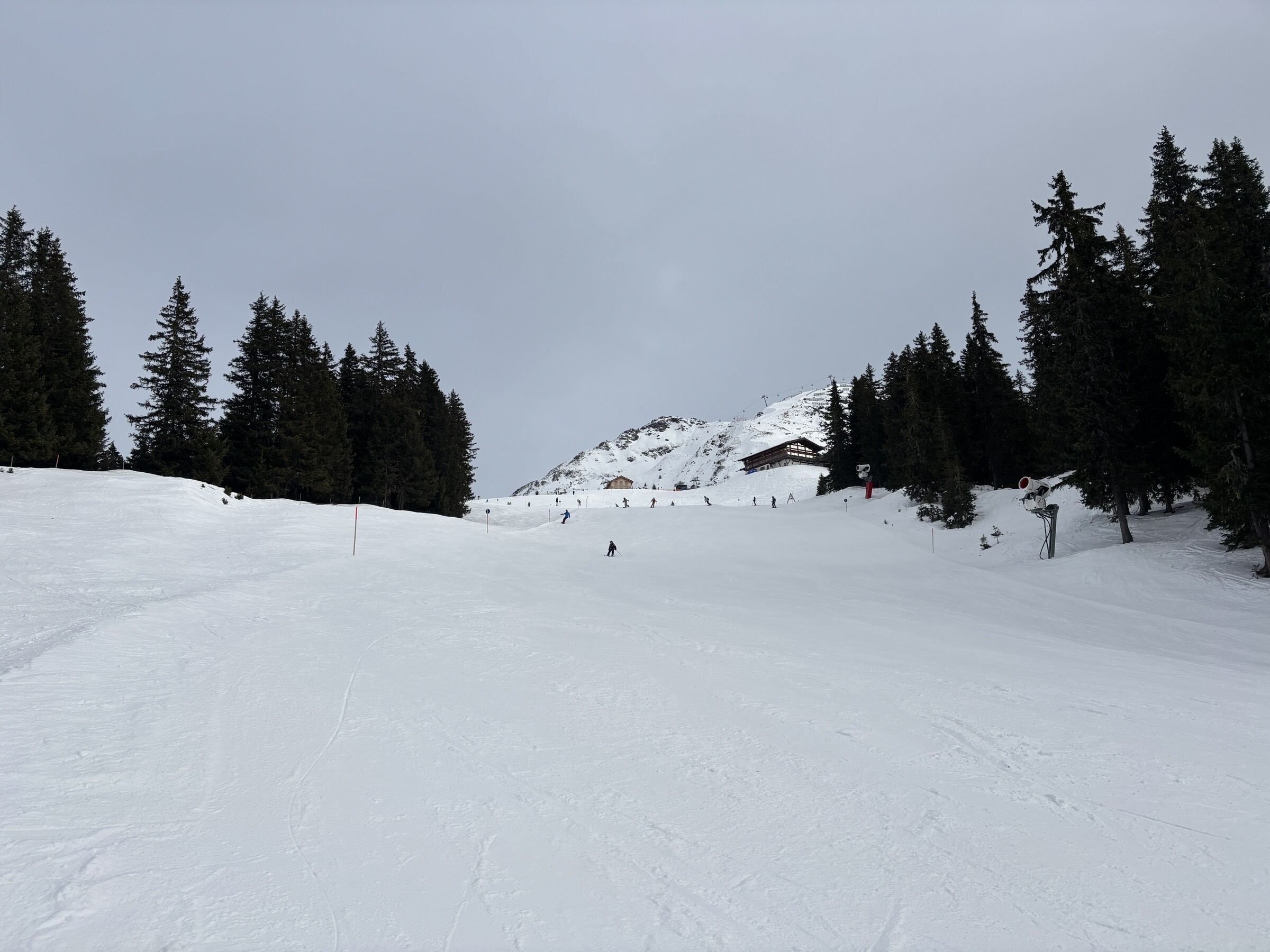 IMG_5117.jpeg