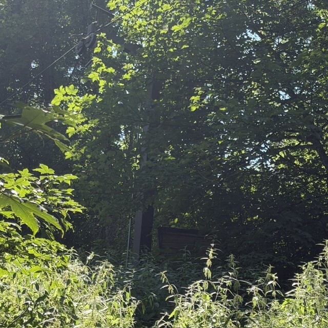 IMG_5153.jpeg