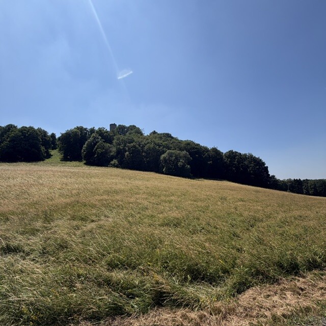 IMG_5162.jpeg