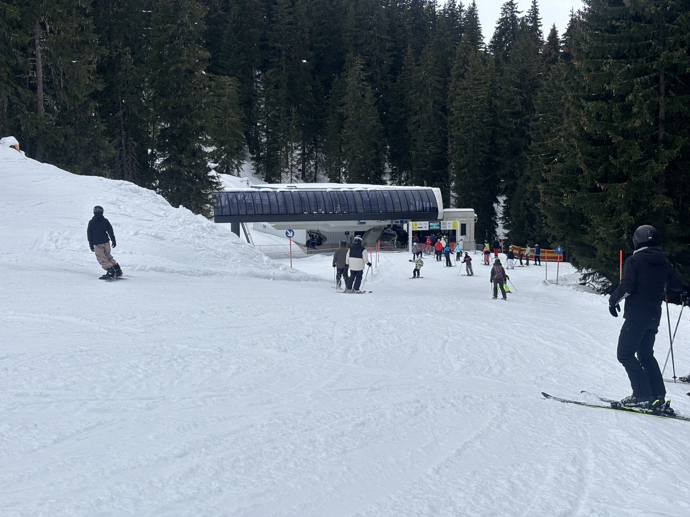 IMG_5291.jpeg