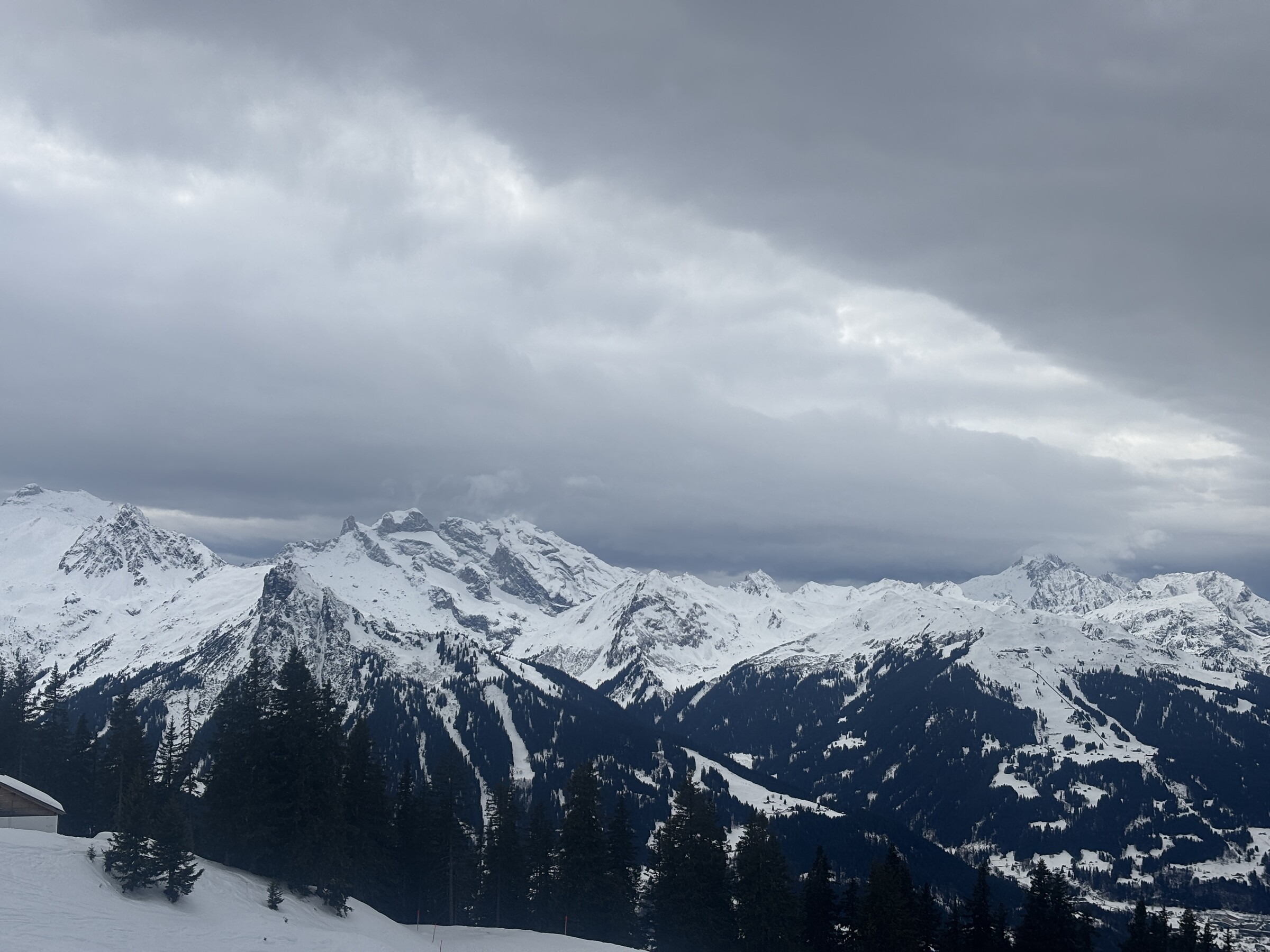 IMG_5324.jpeg