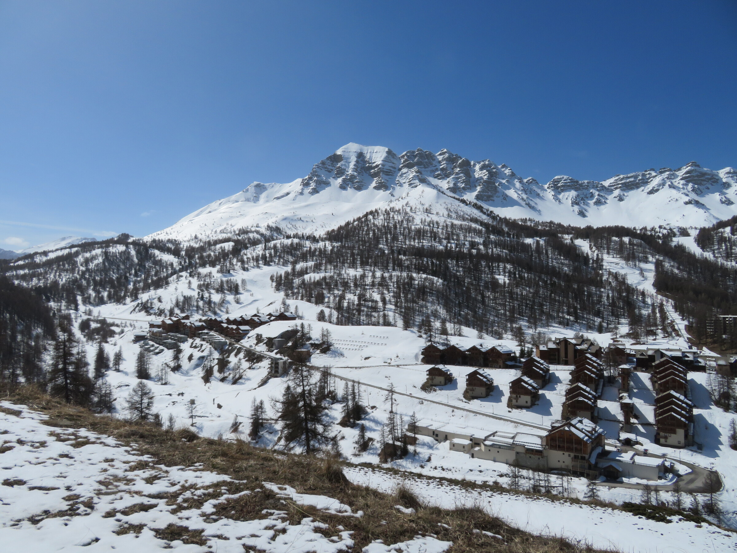 IMG_5399.JPG