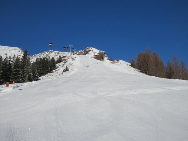 IMG_5508_1.JPG