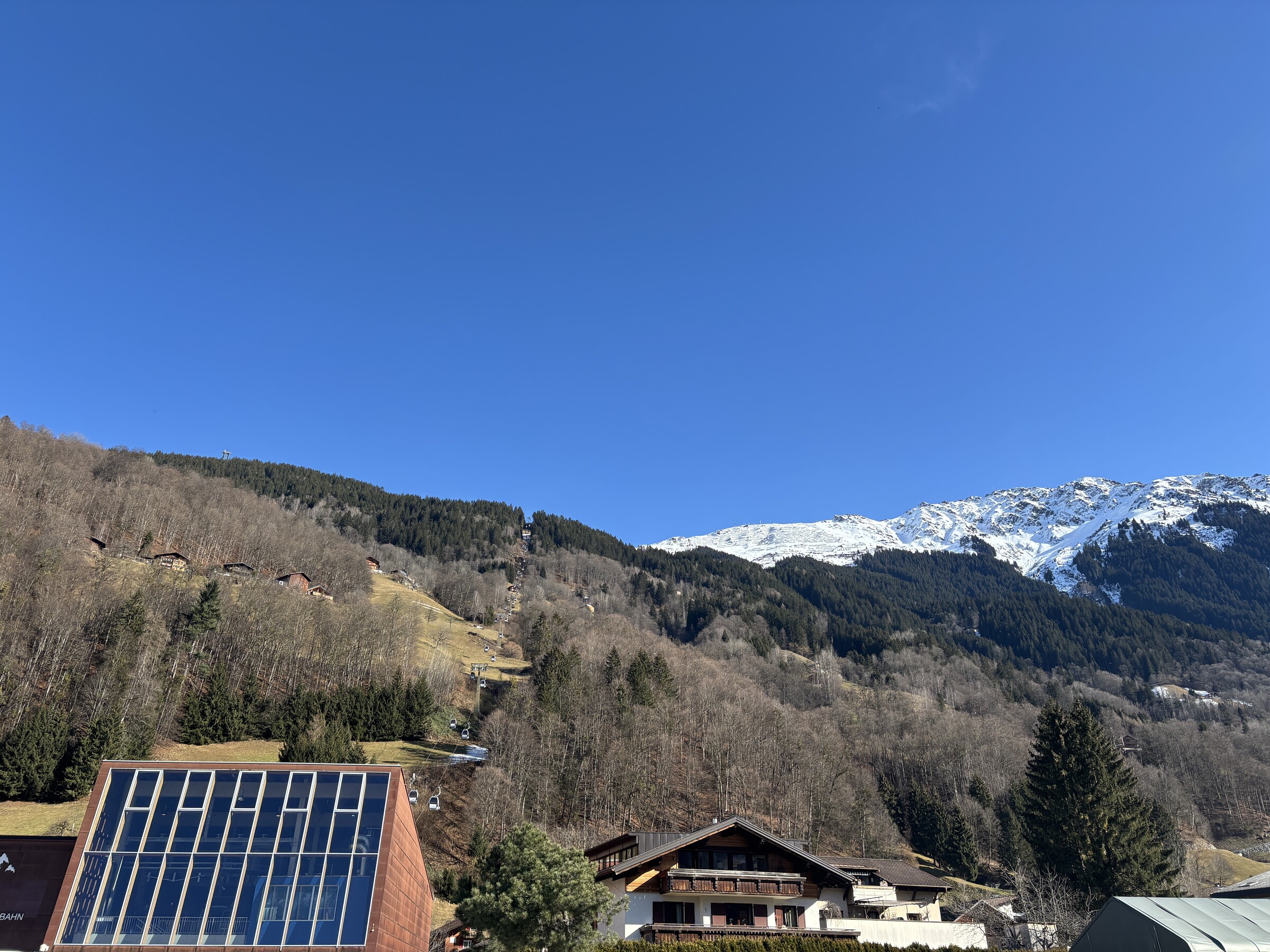 IMG_6075.jpeg