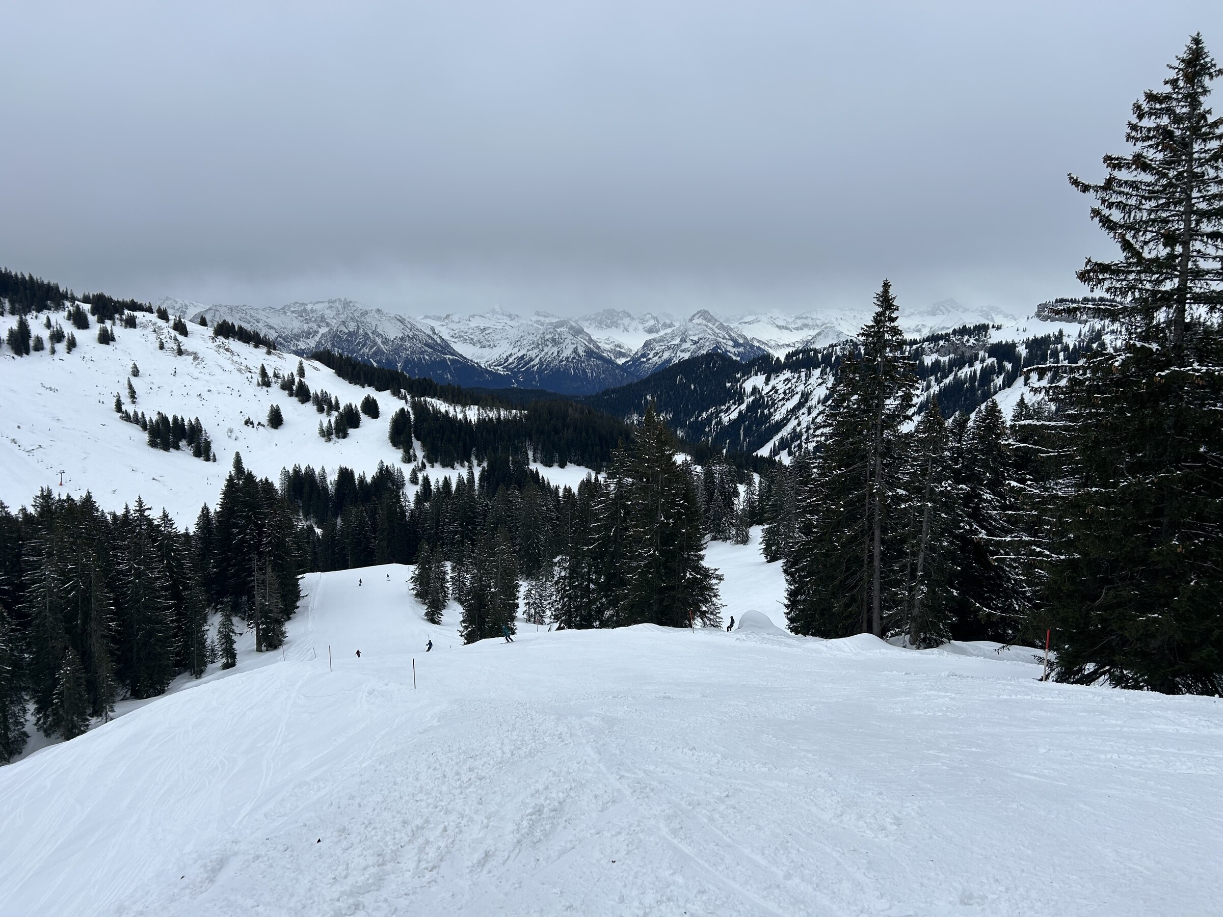 IMG_6131.jpeg