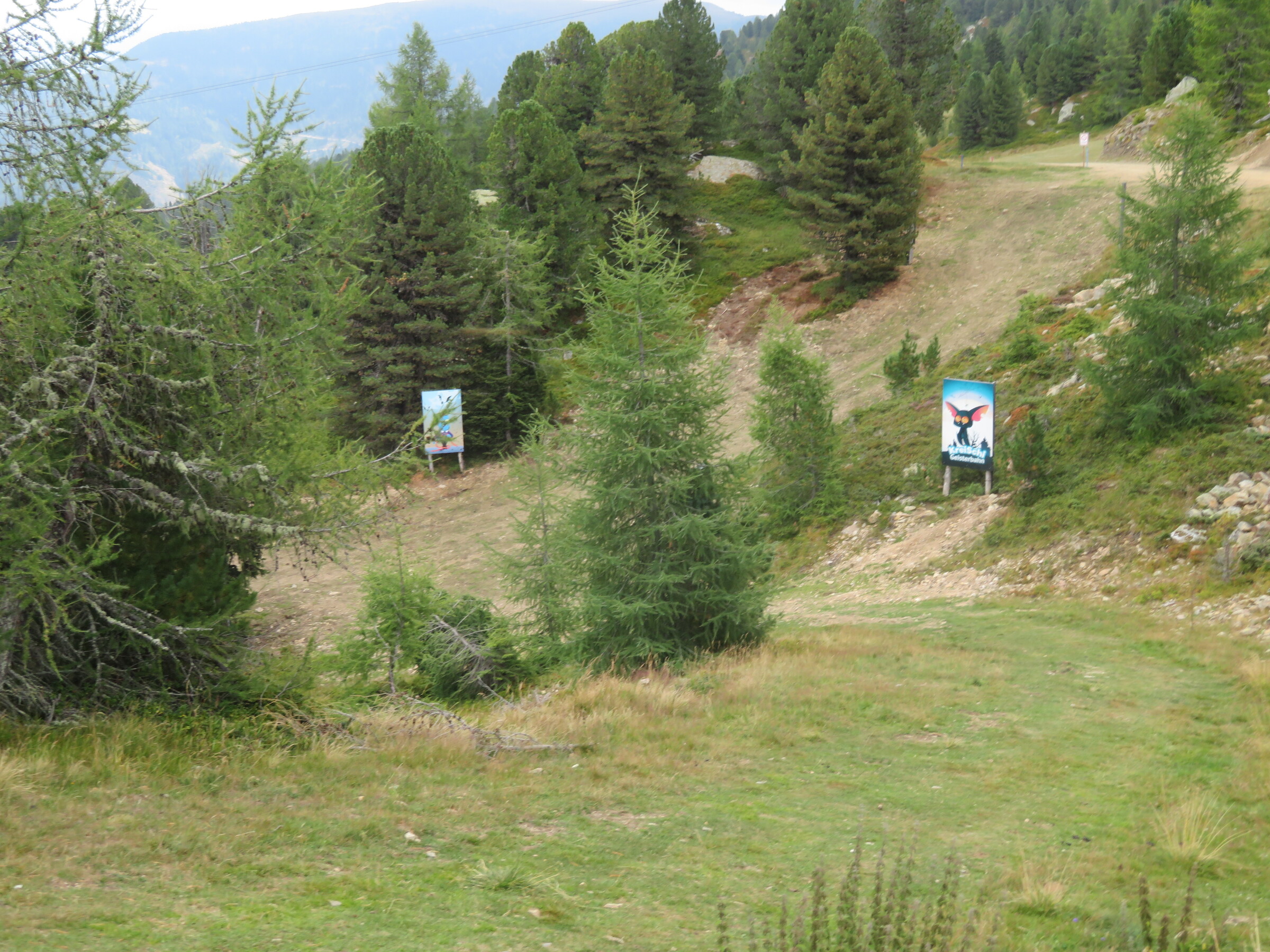 IMG_6134.JPG