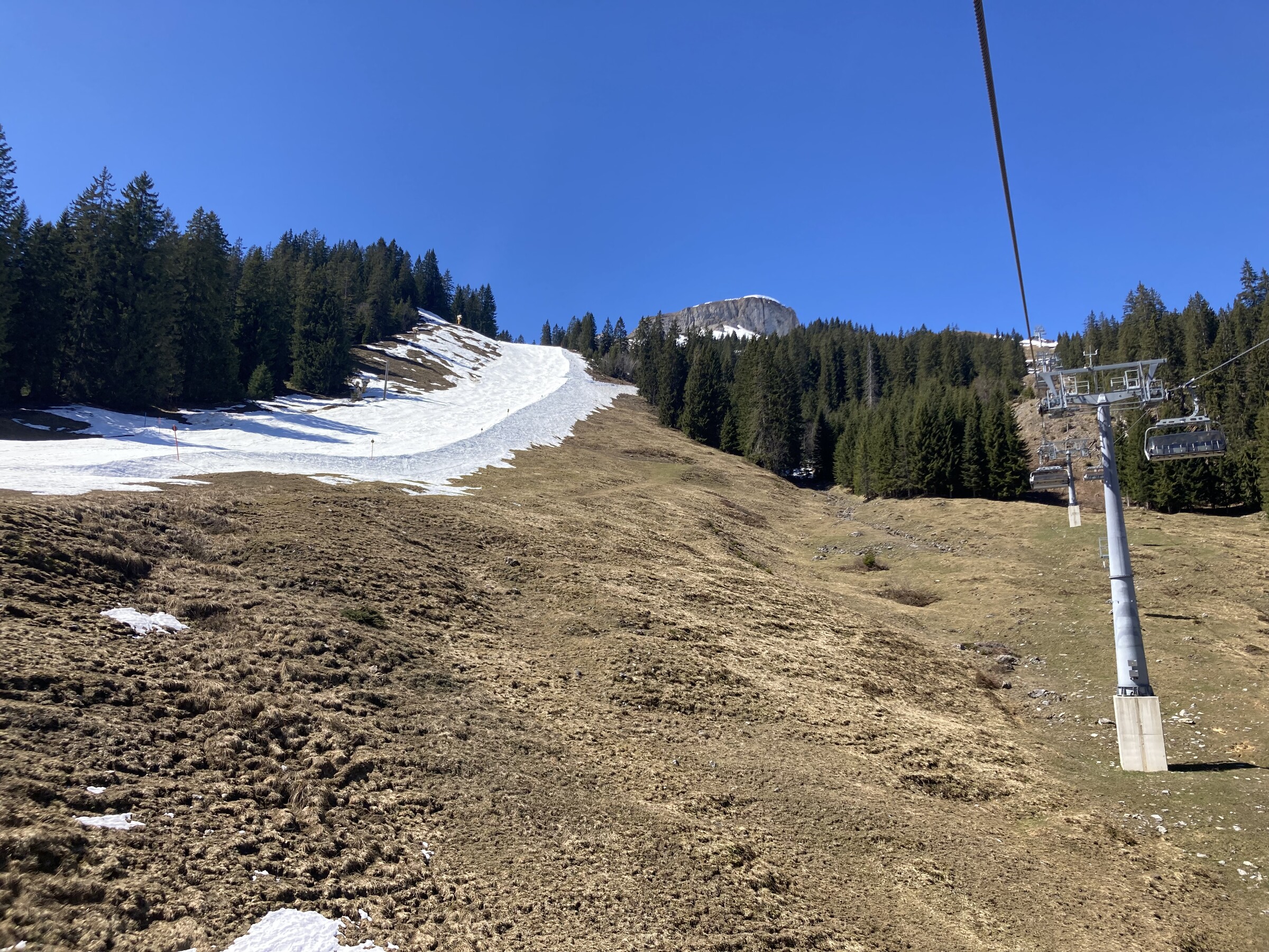 IMG_6138.jpeg