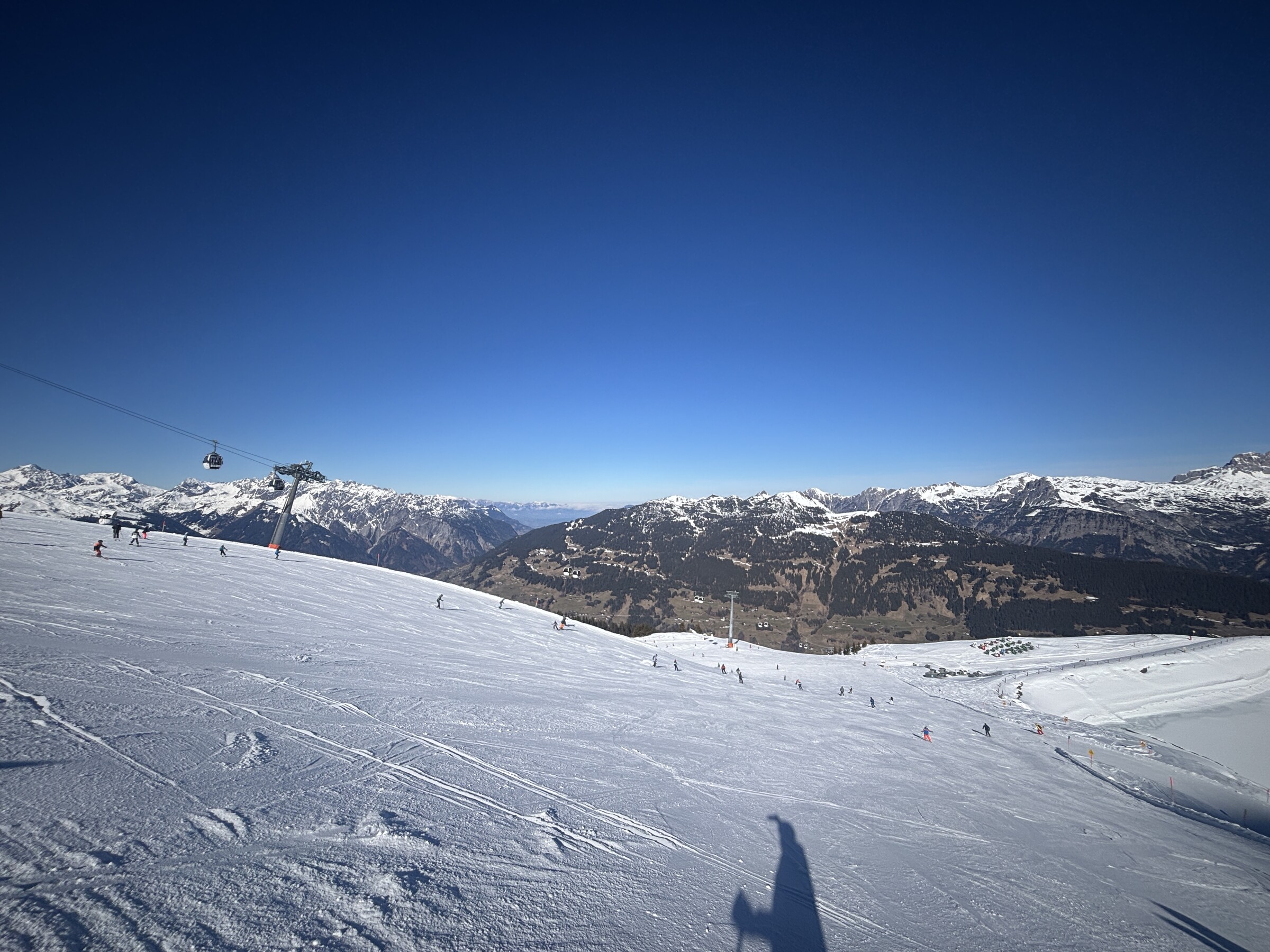 IMG_6448.jpeg